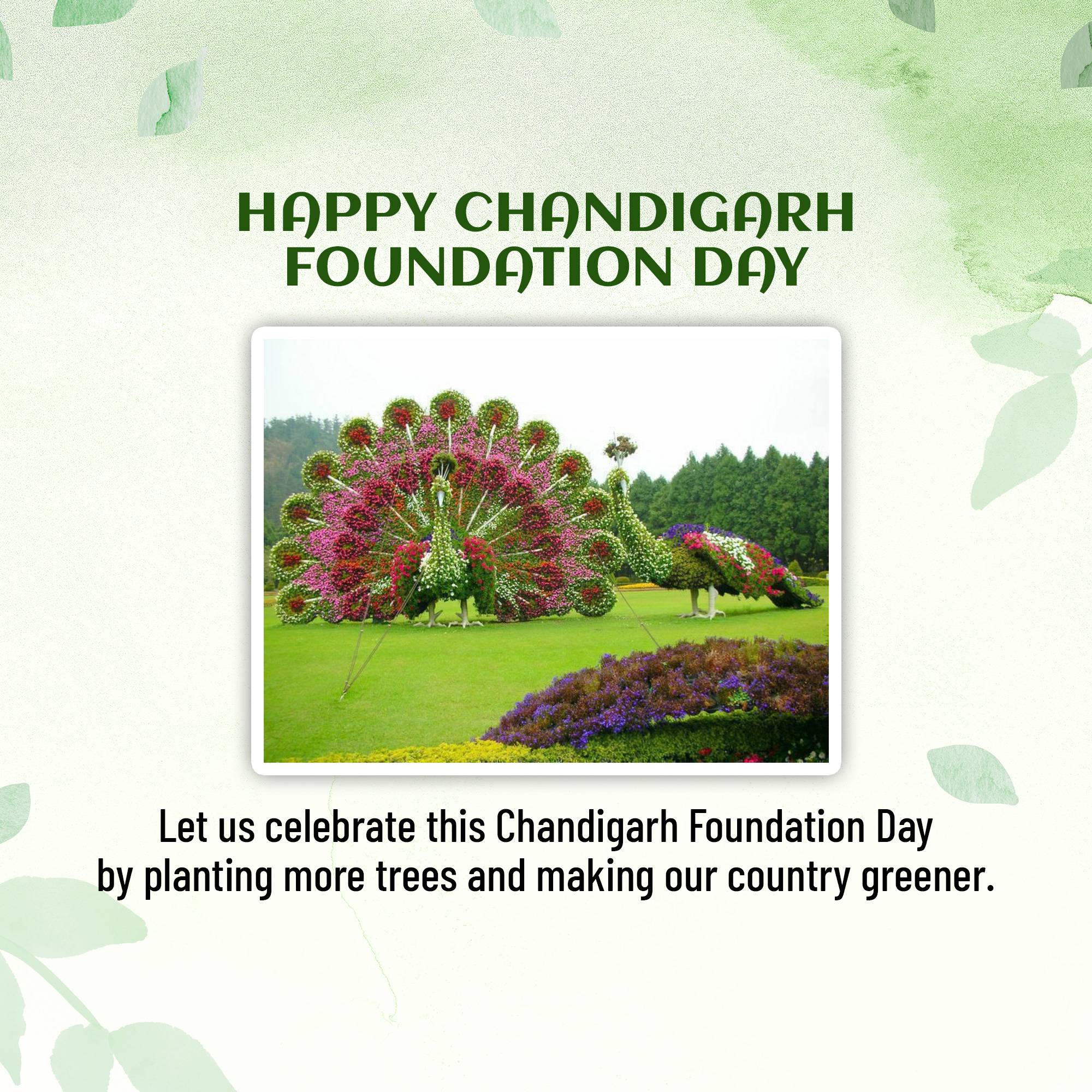 Chandigarh Foundation Day