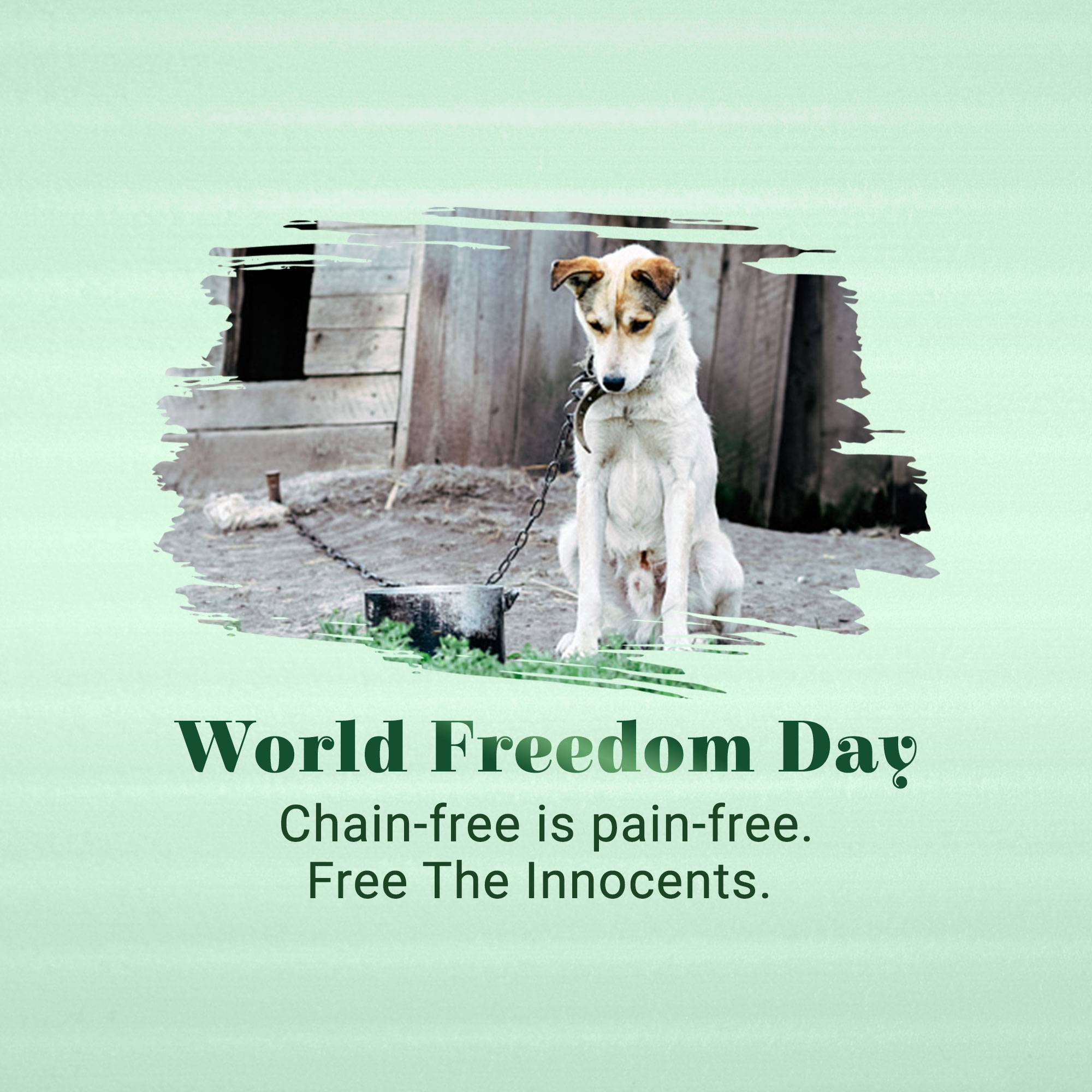 World Freedom Day