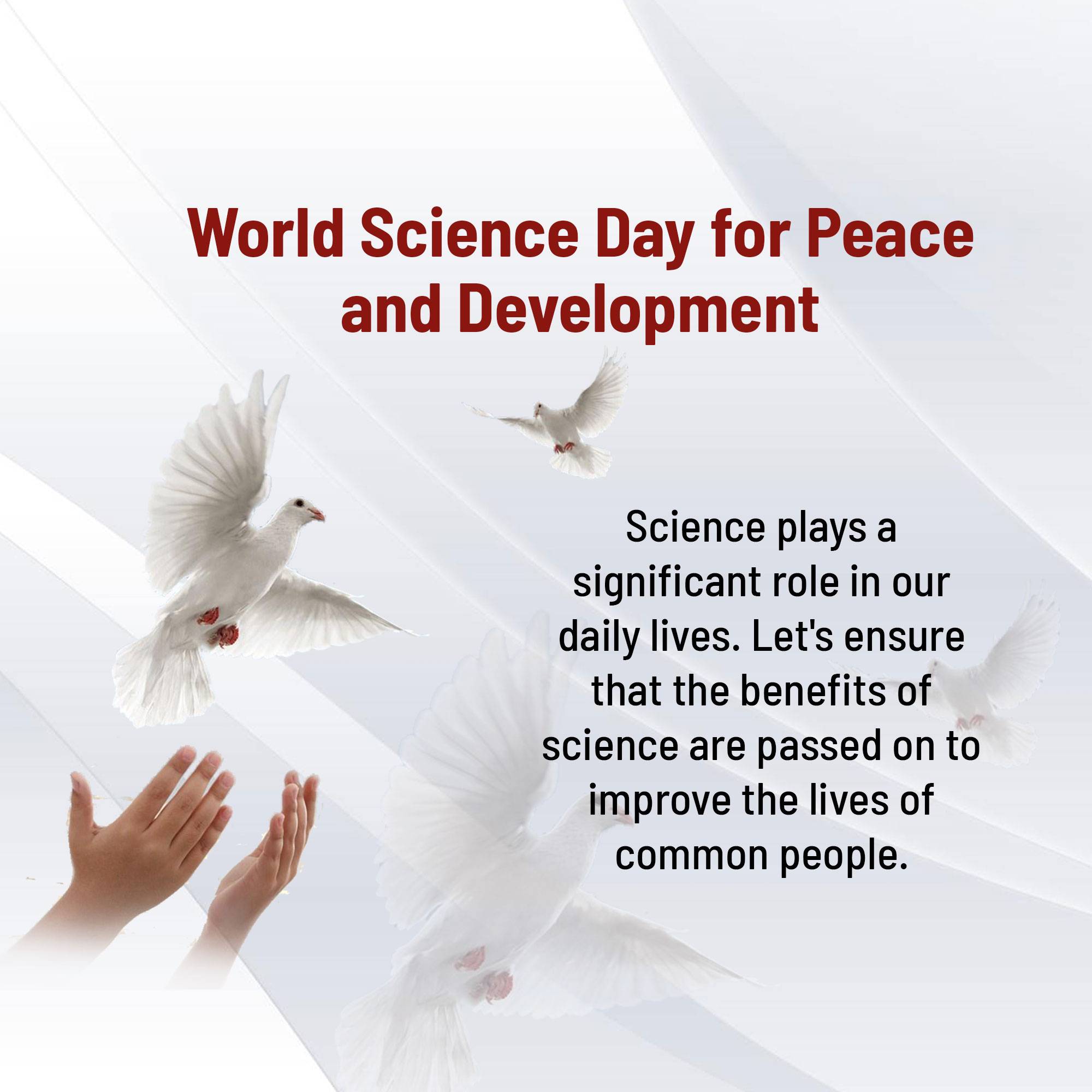 Science Day for Peace and Development