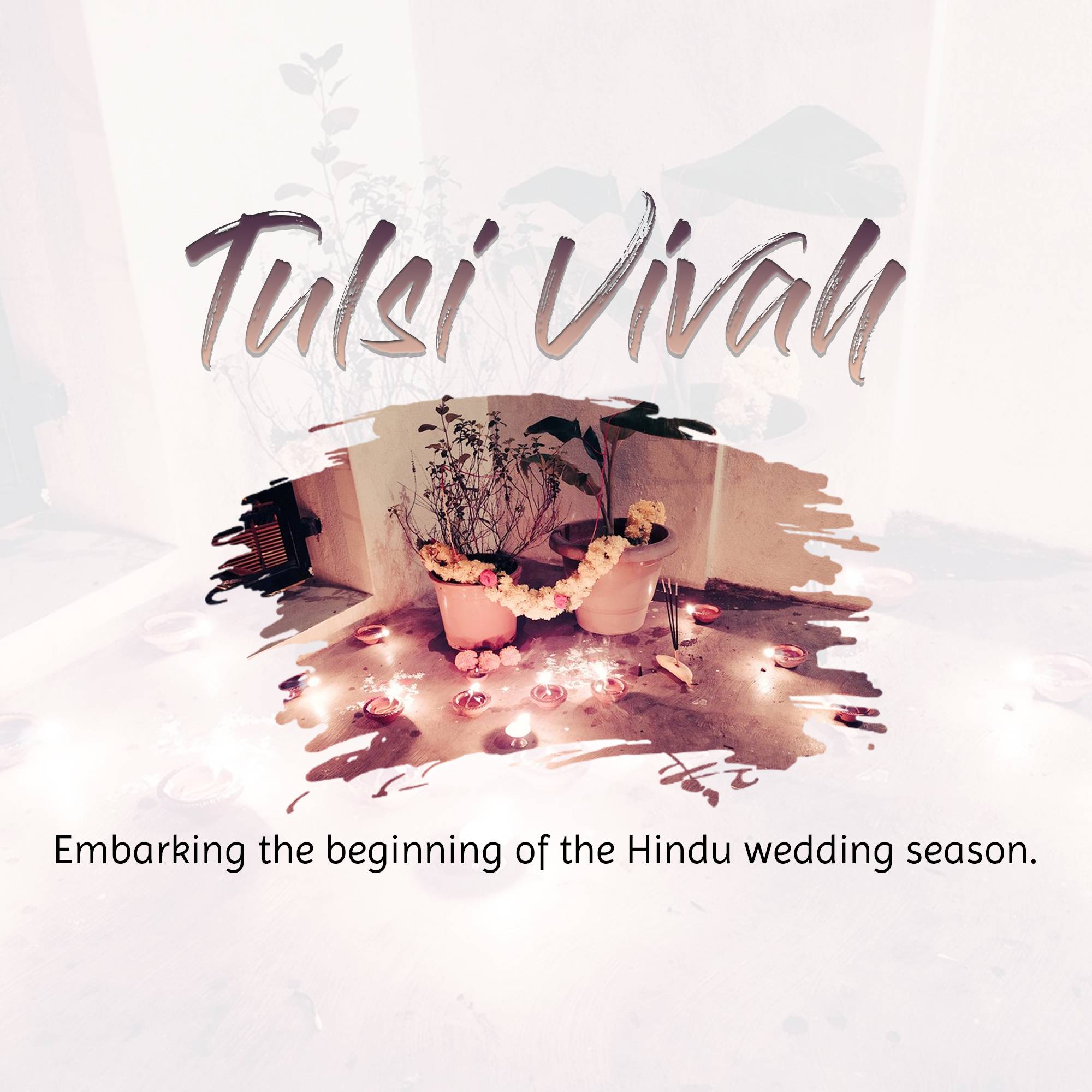 Tulsi Vivah
