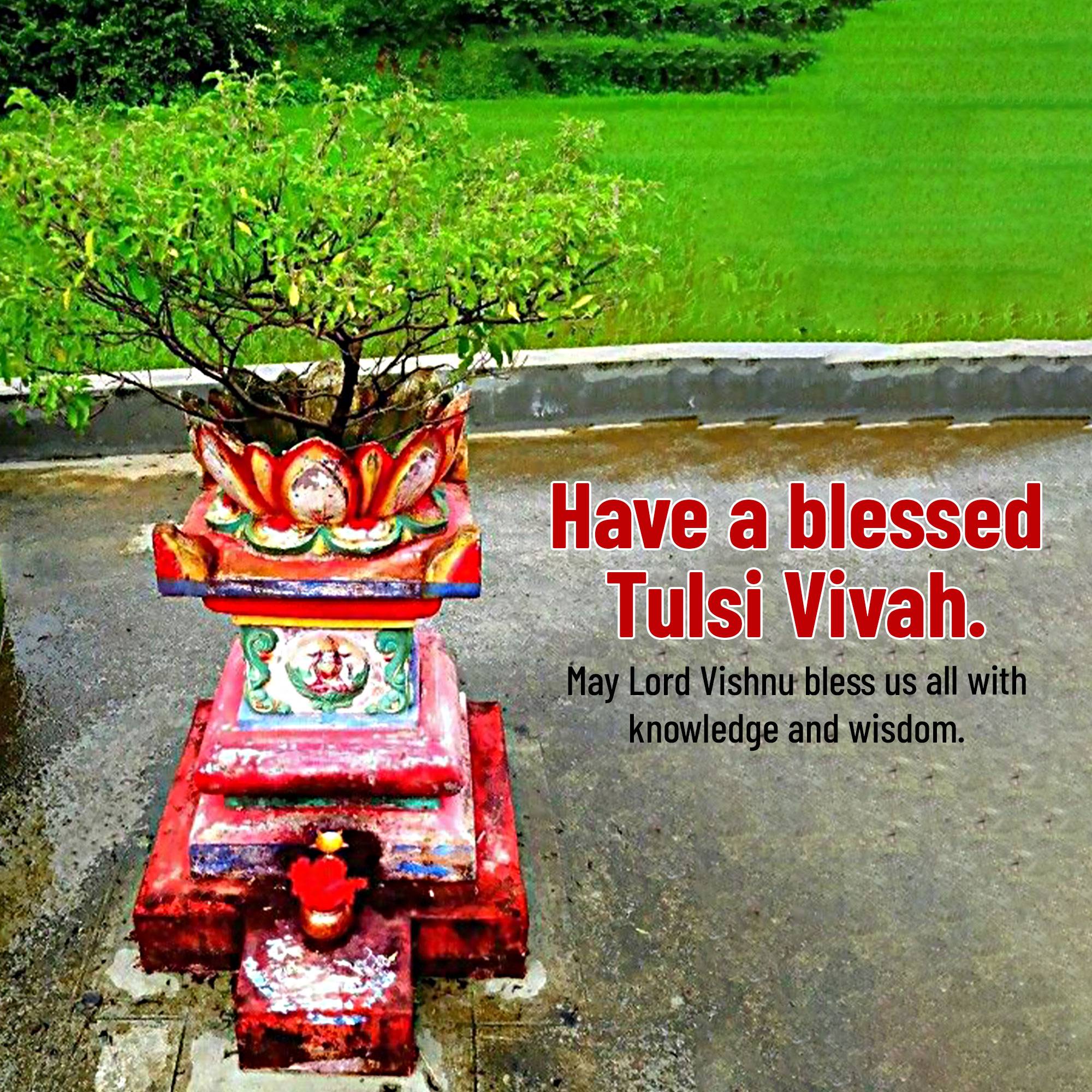 Tulsi Vivah