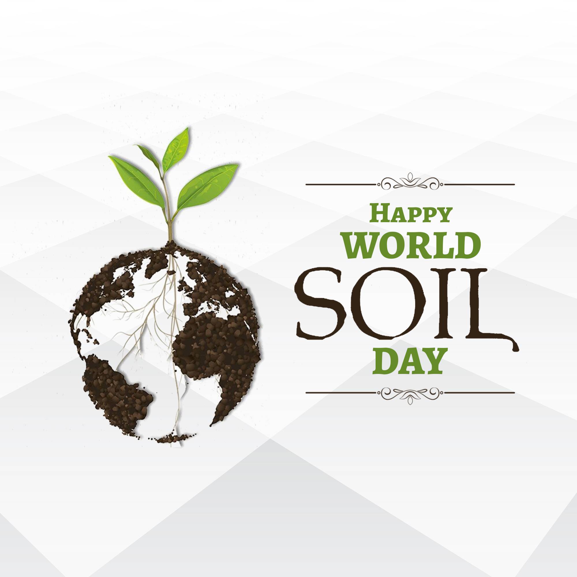 World Soil Day