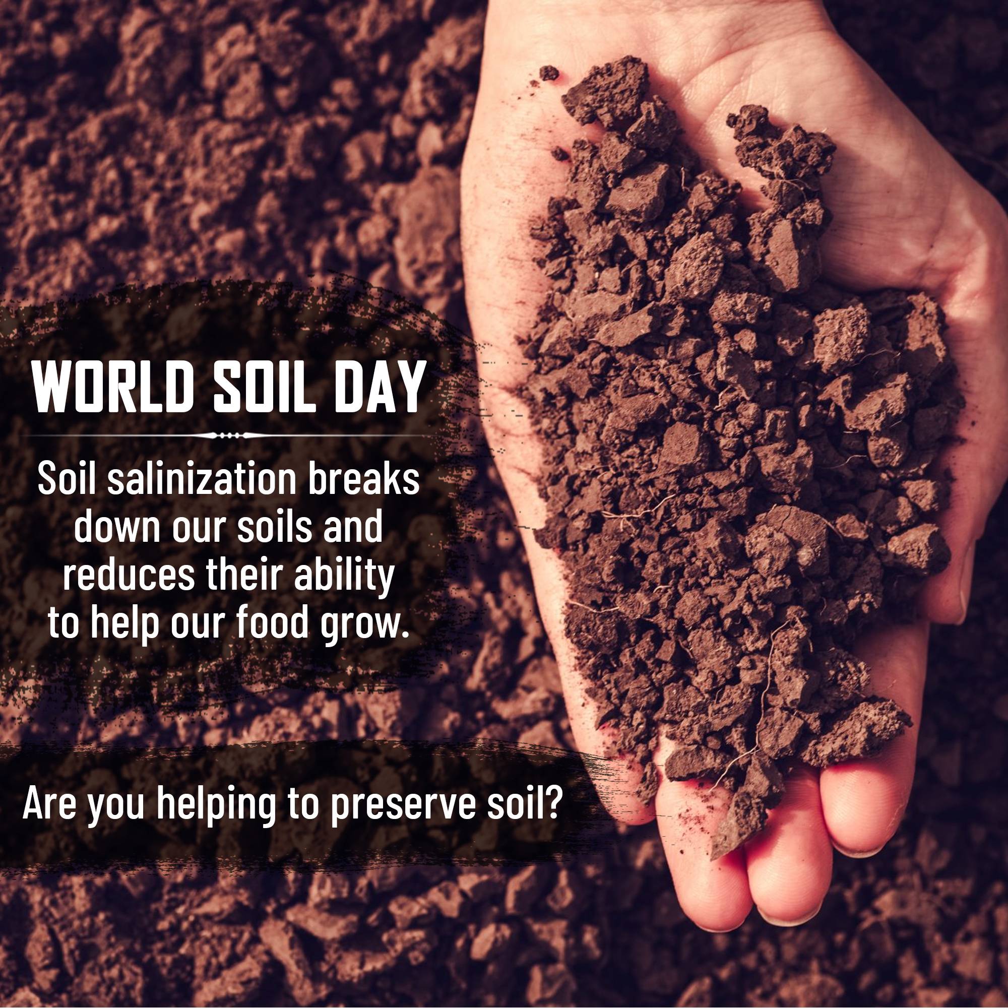 World Soil Day