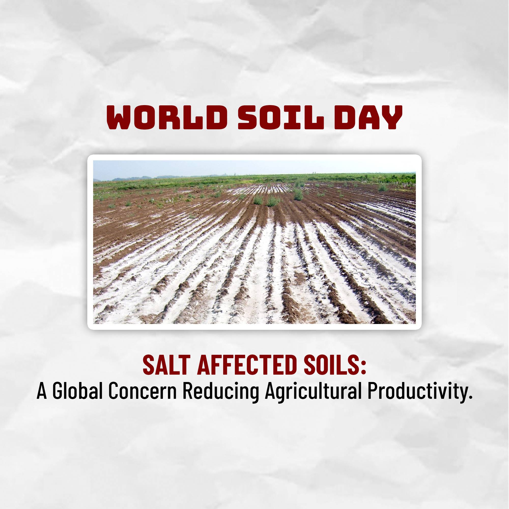 World Soil Day