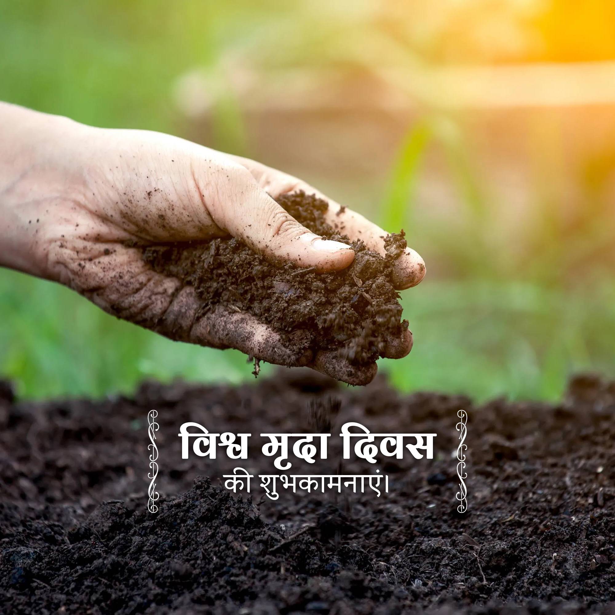 World Soil Day