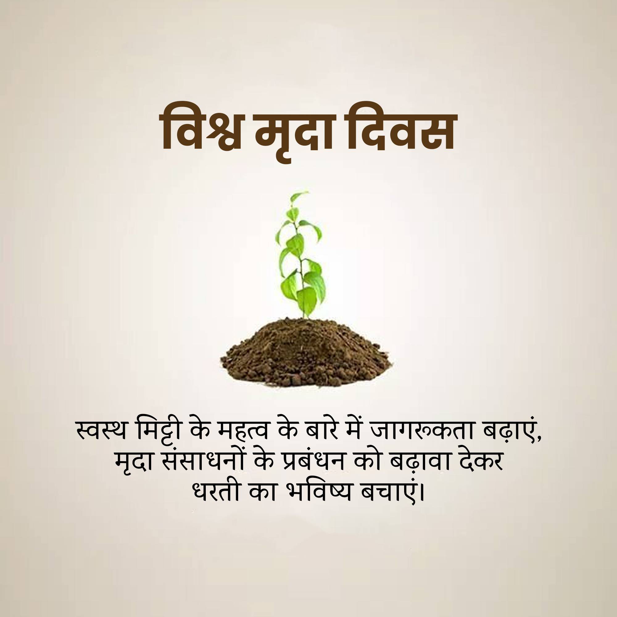 World Soil Day