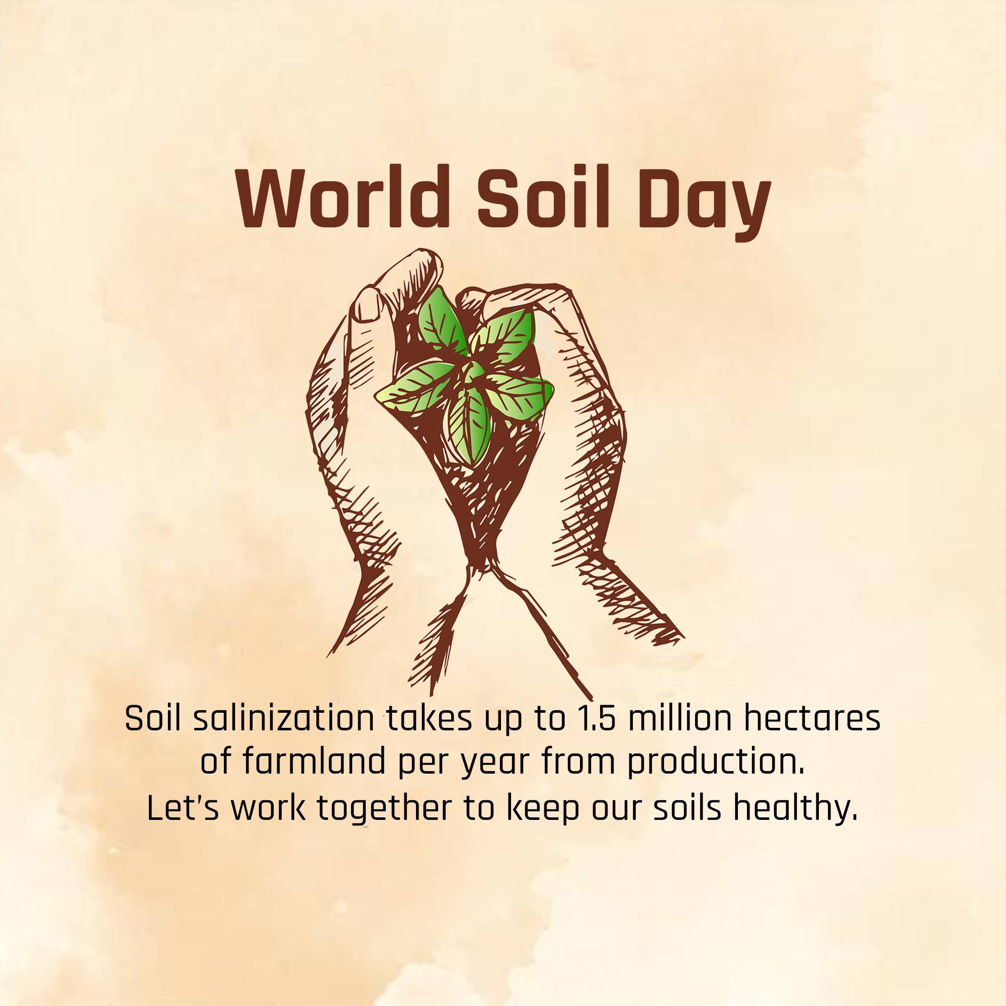World Soil Day
