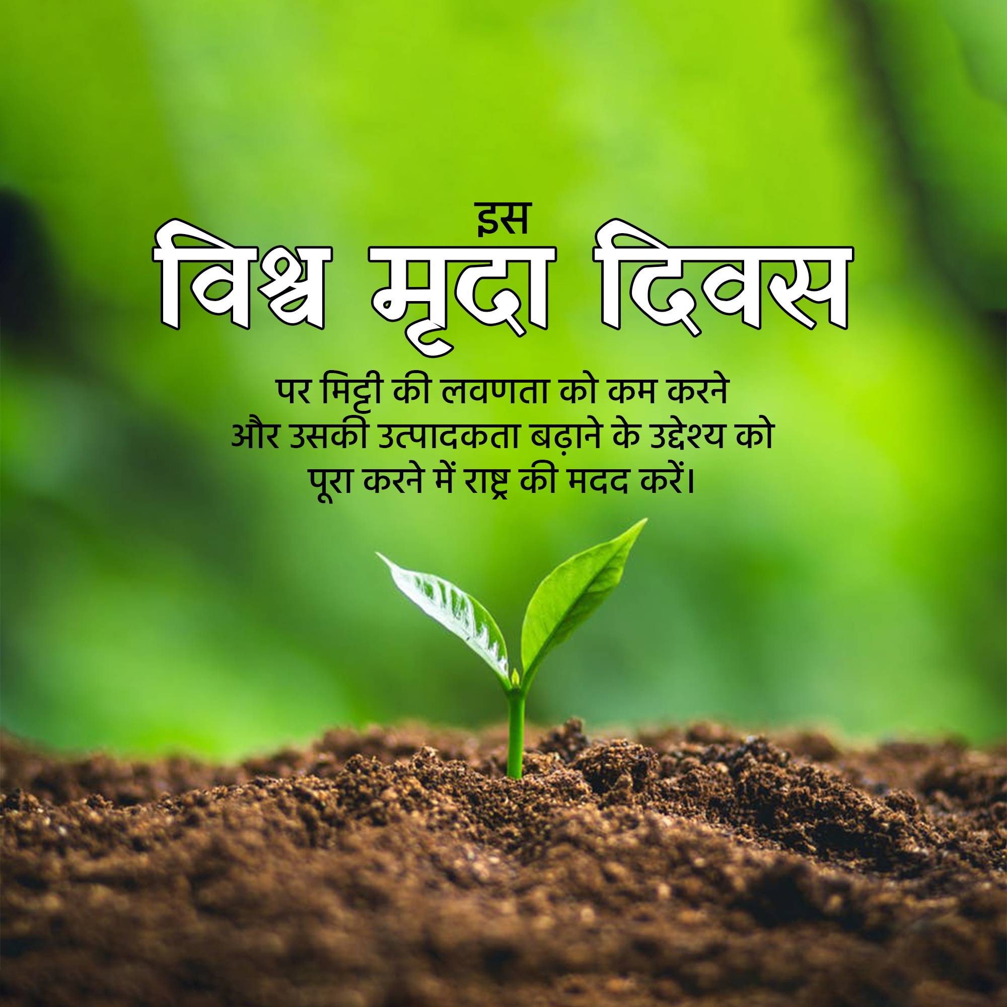 World Soil Day