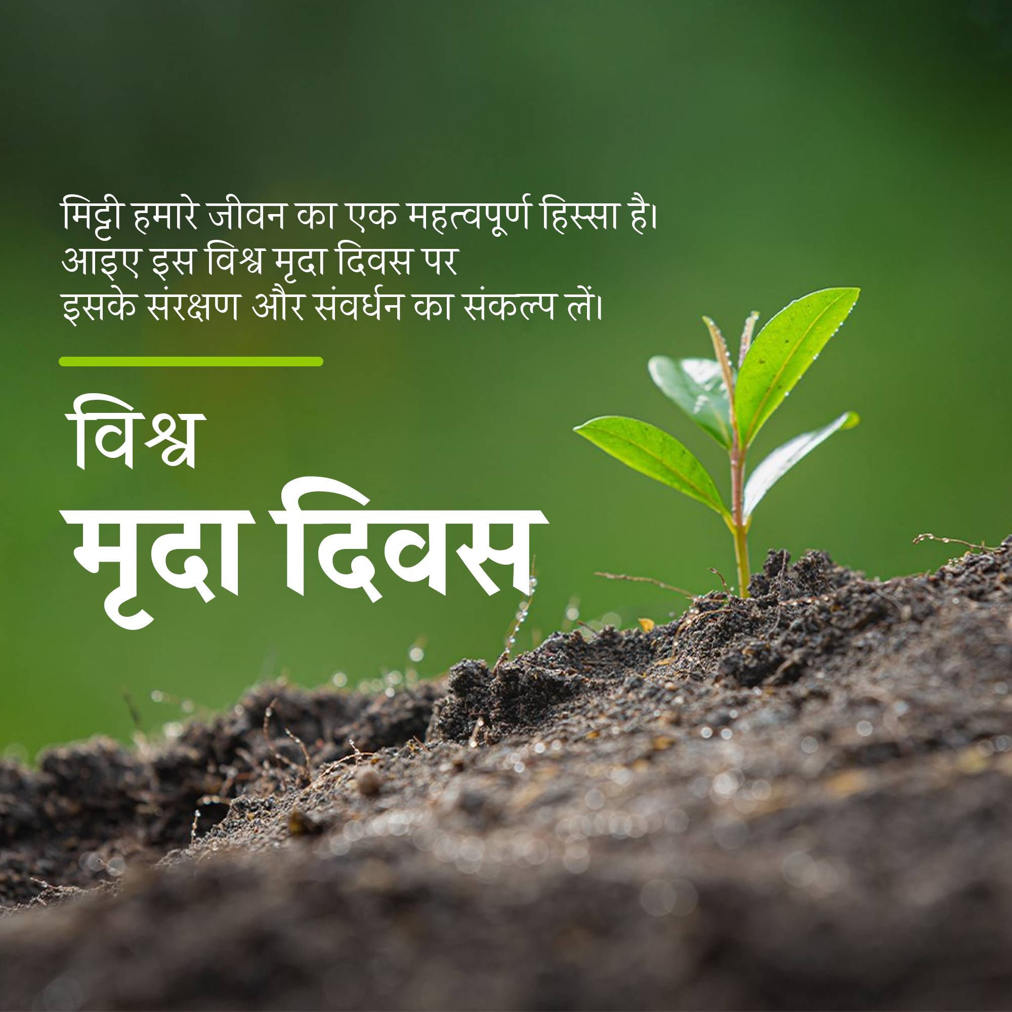 World Soil Day