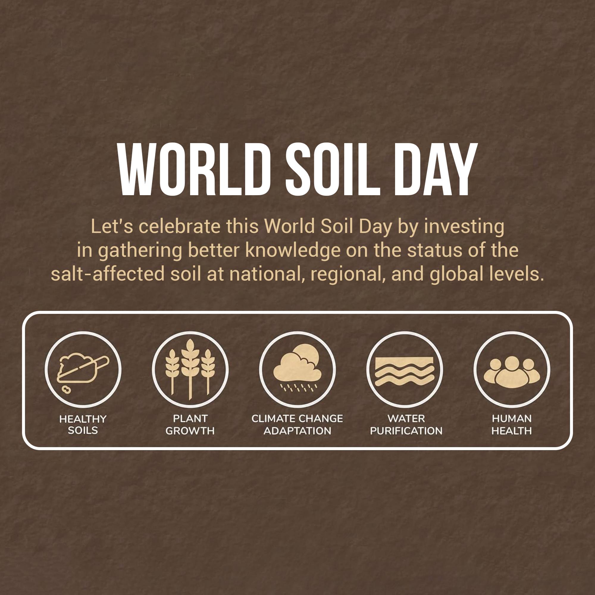 World Soil Day
