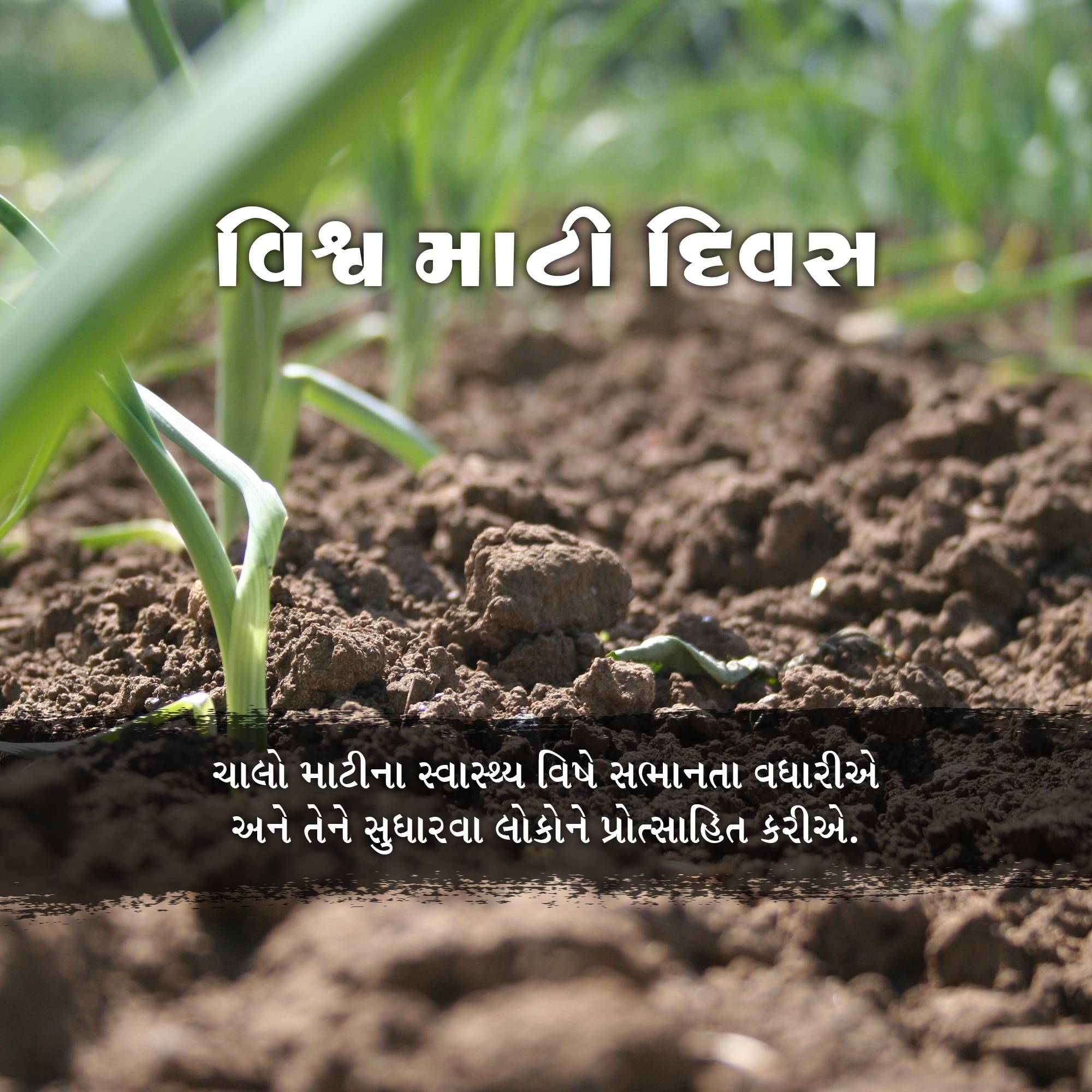 World Soil Day