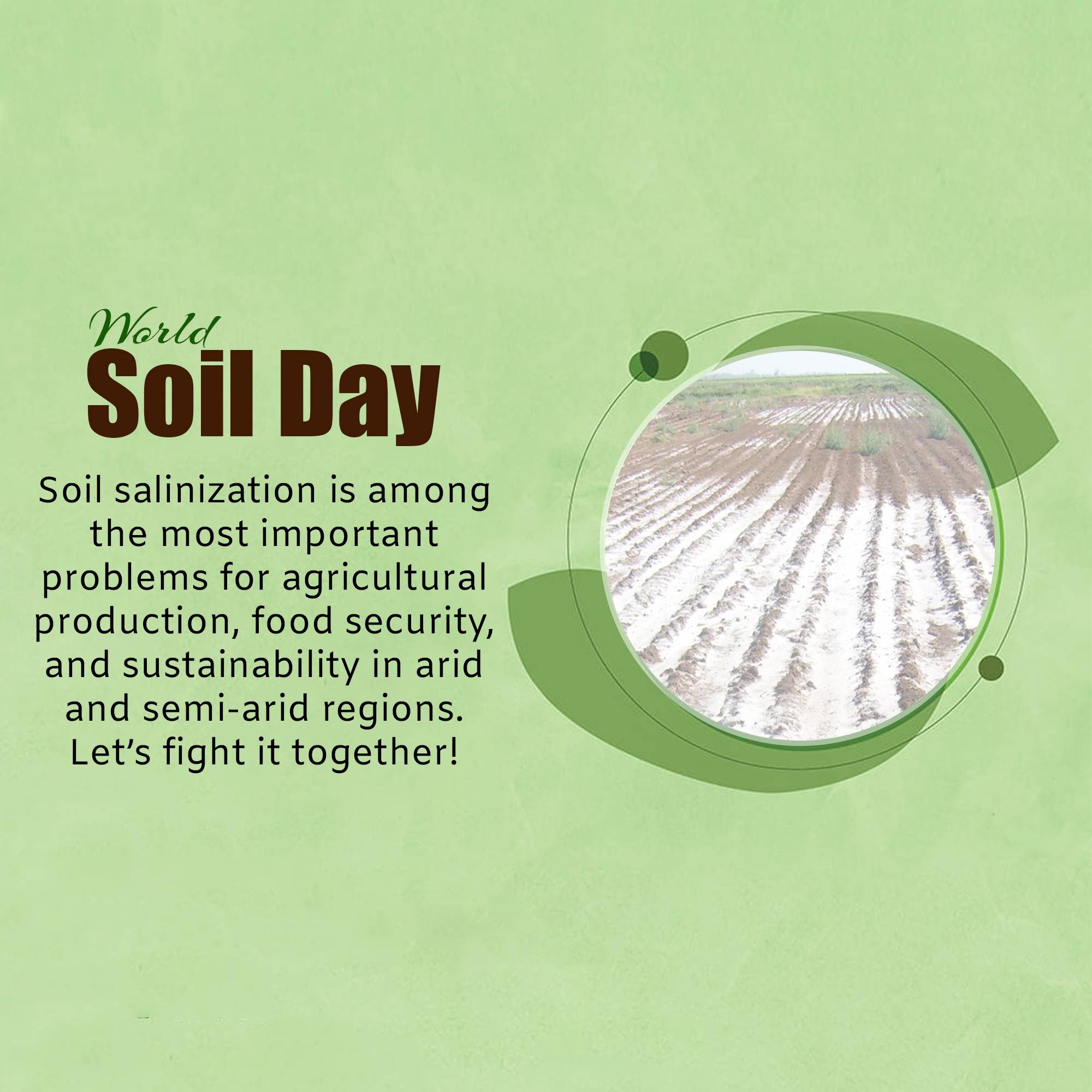 World Soil Day
