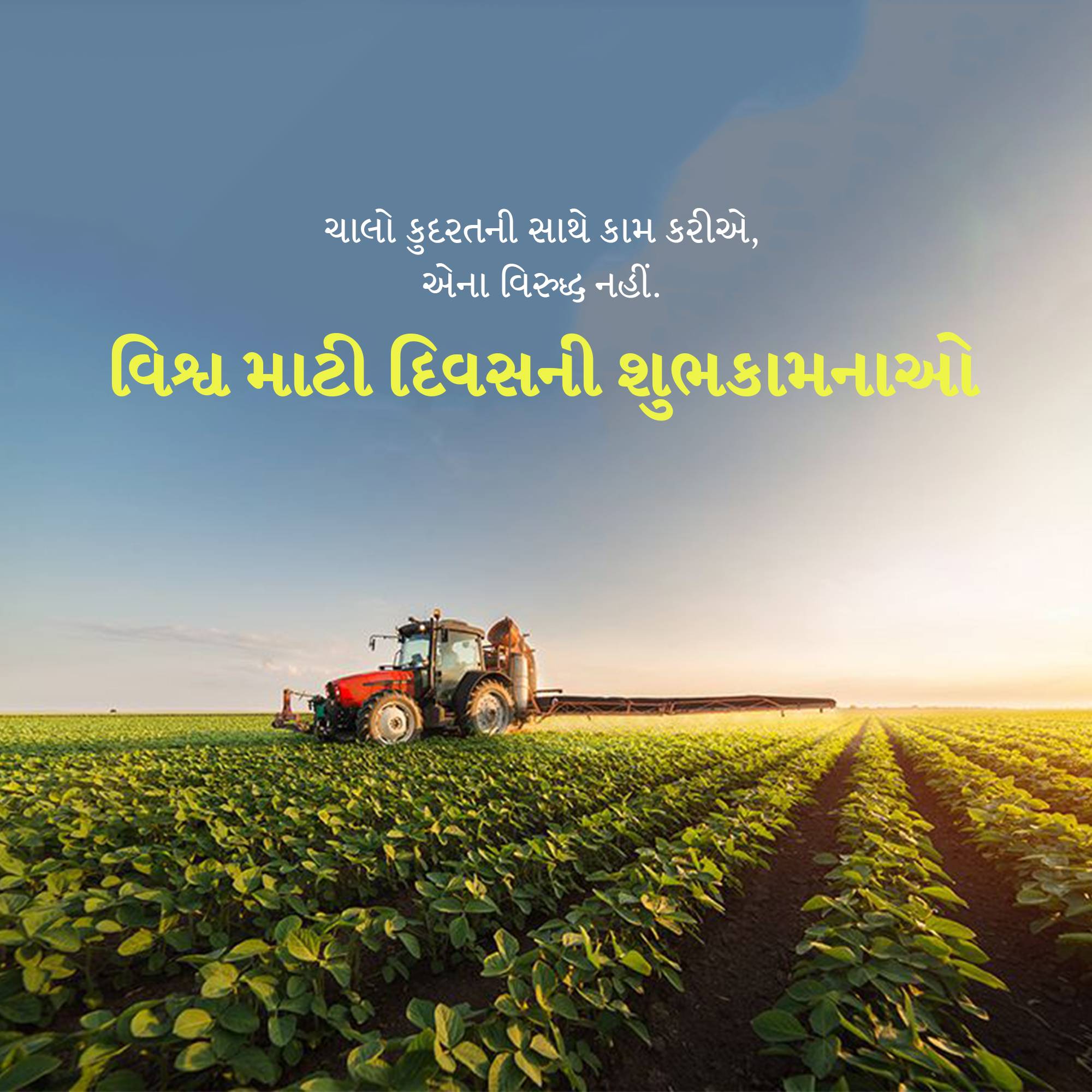 World Soil Day