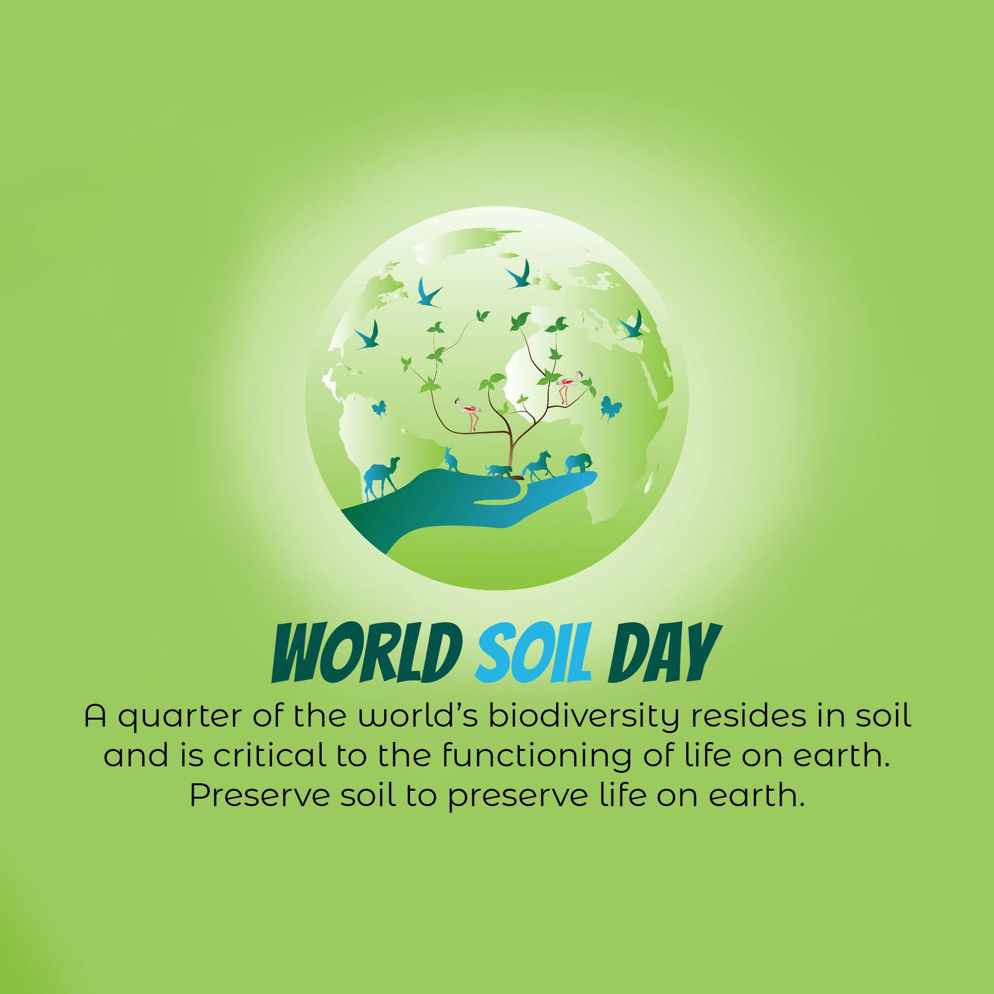 World Soil Day