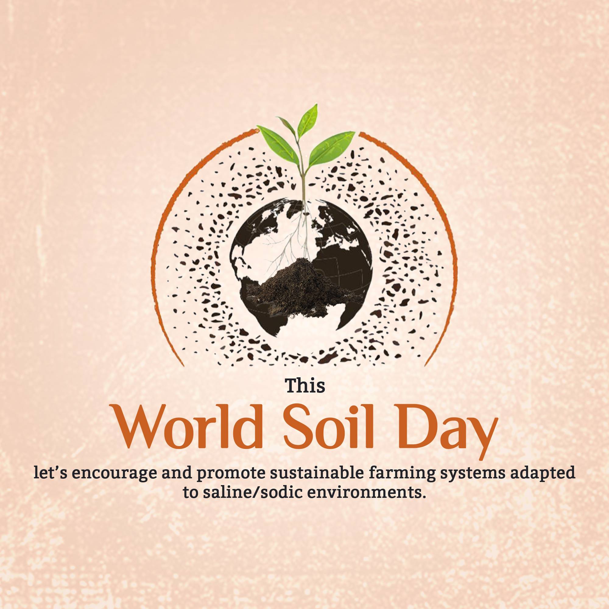World Soil Day