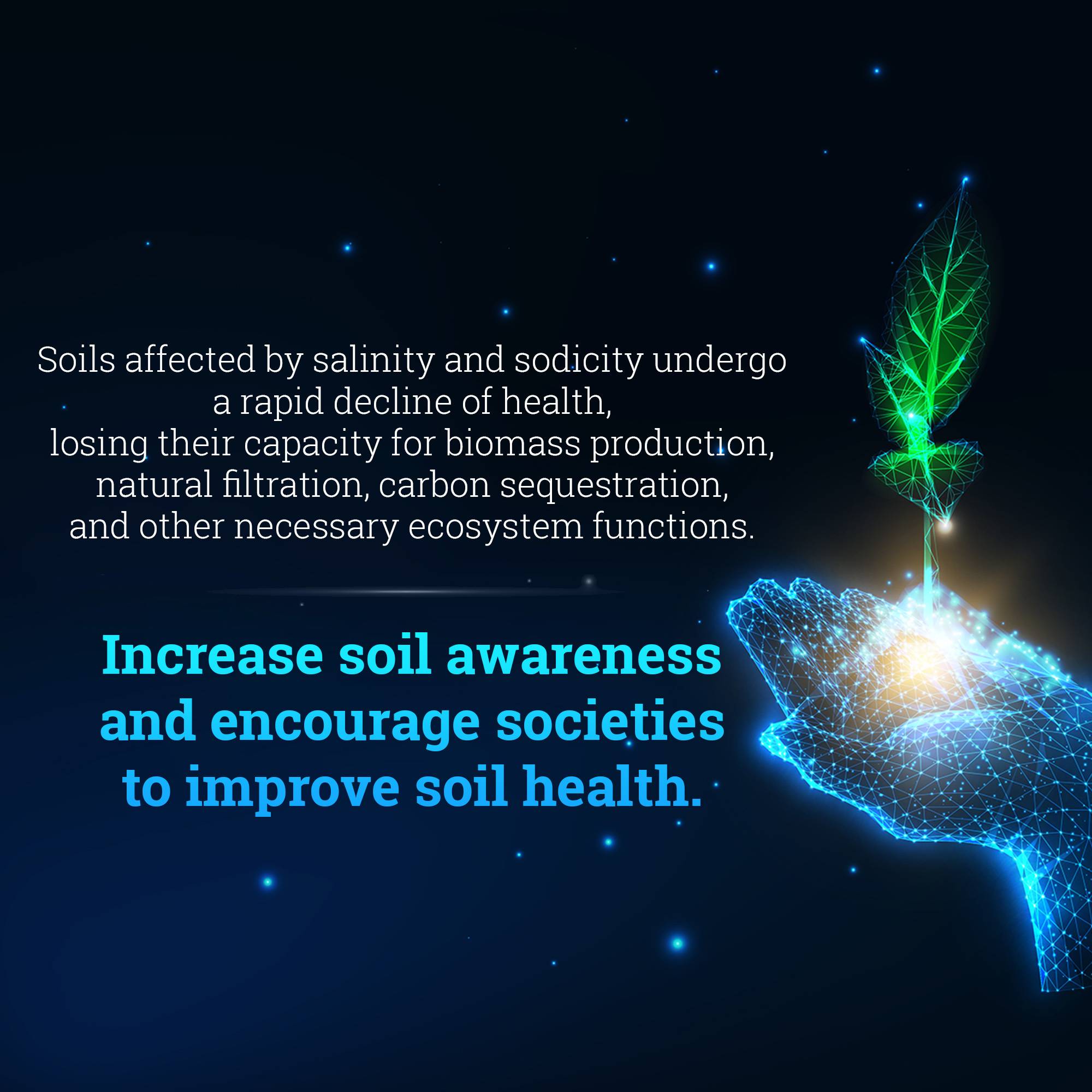 World Soil Day