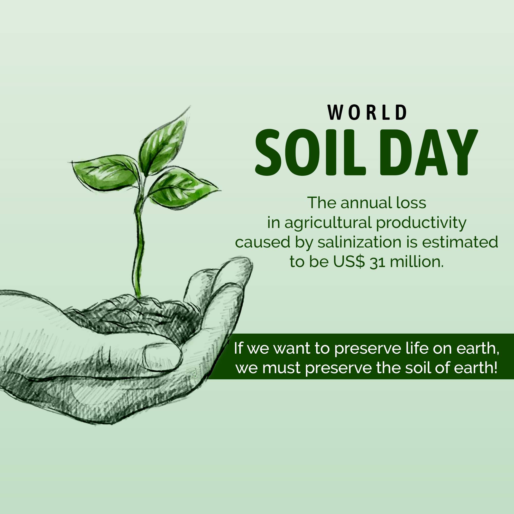World Soil Day