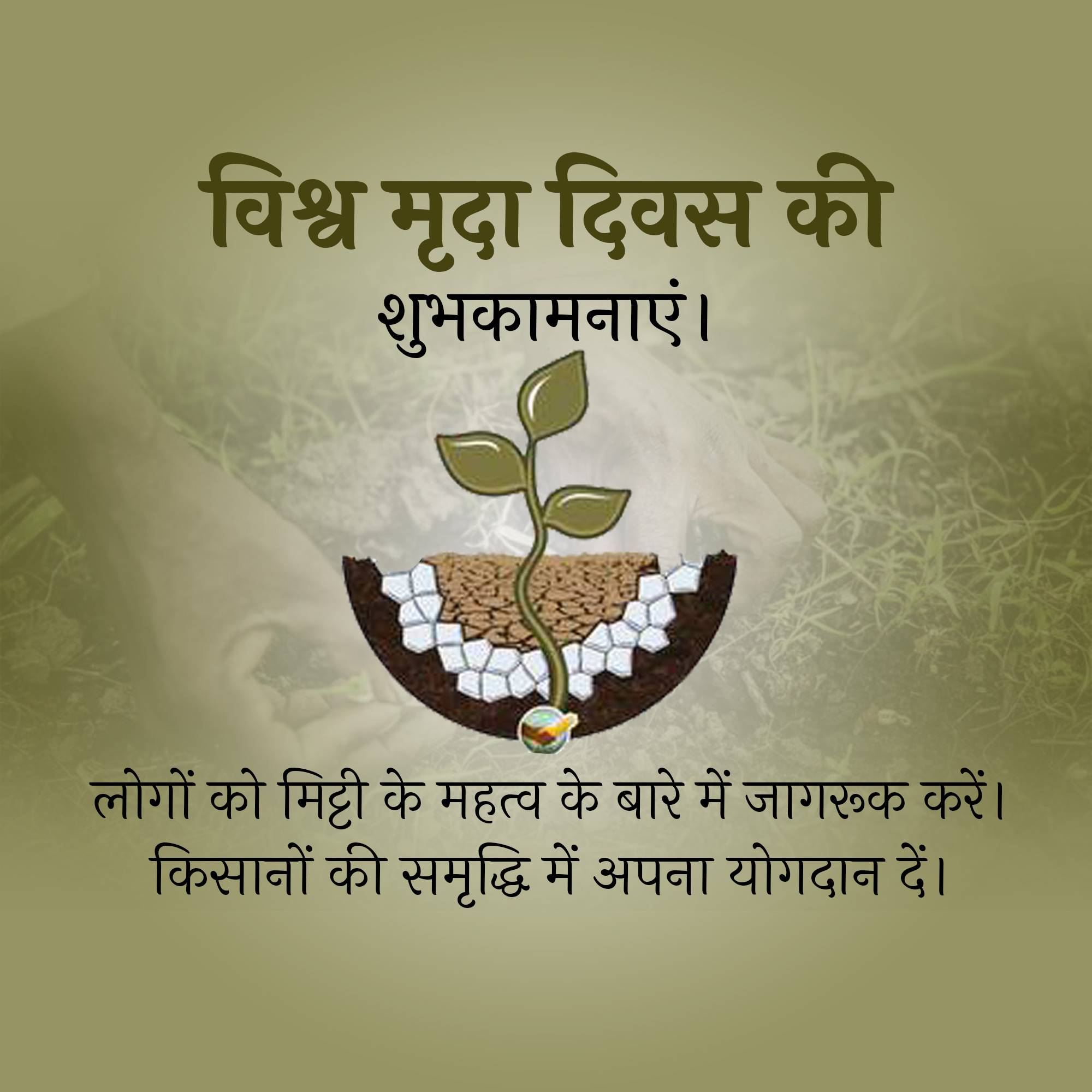 World Soil Day