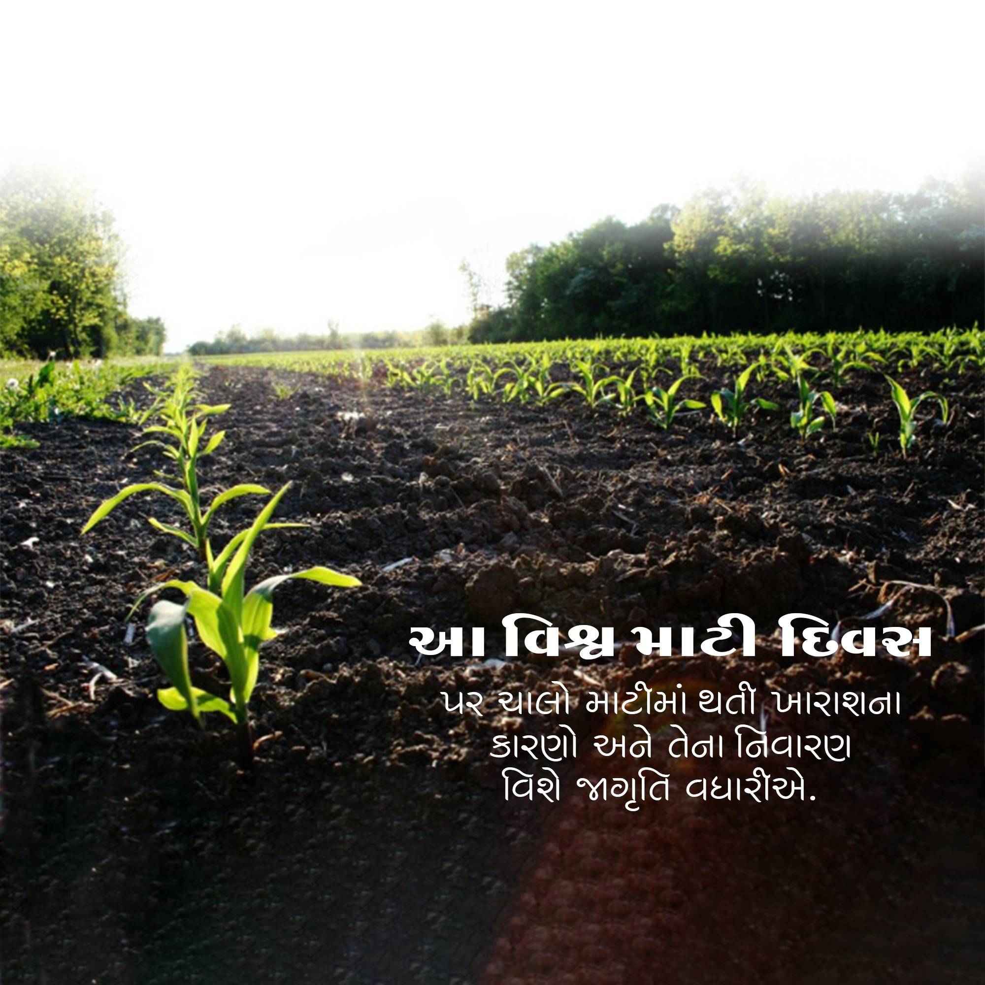 World Soil Day