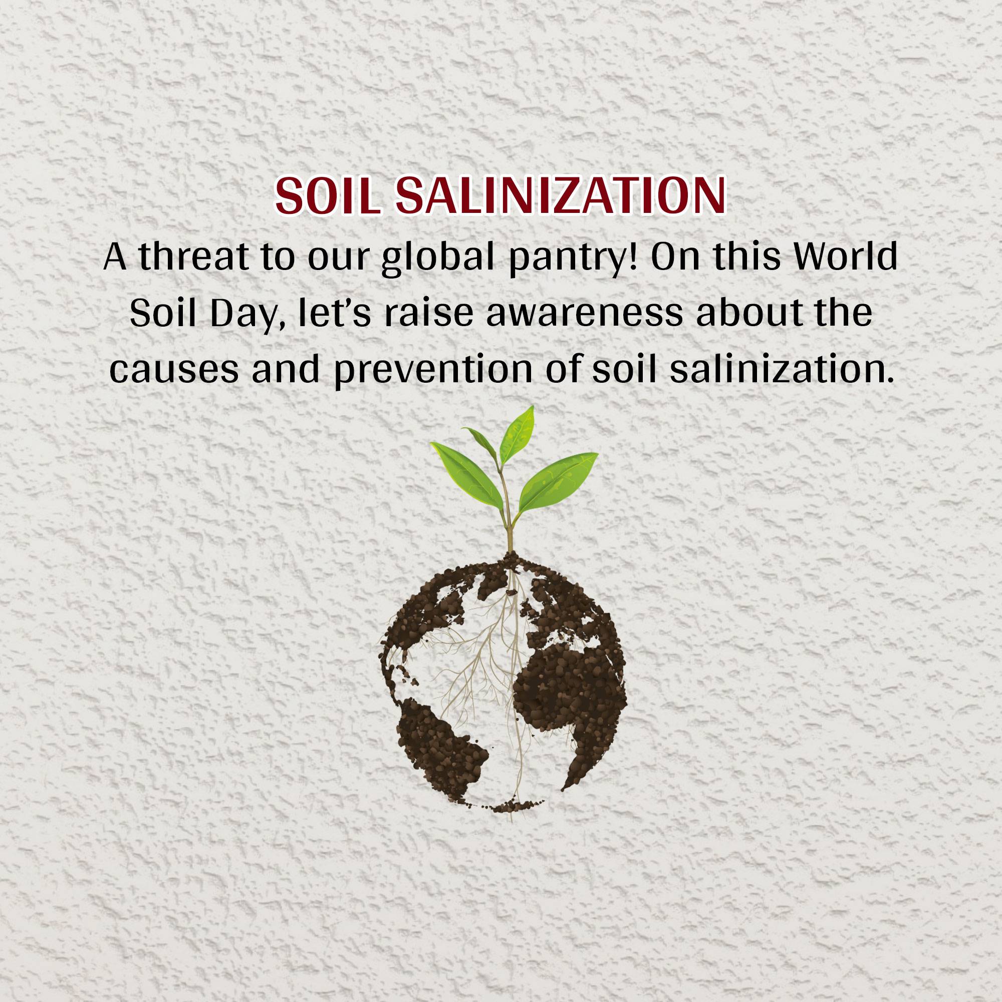 World Soil Day