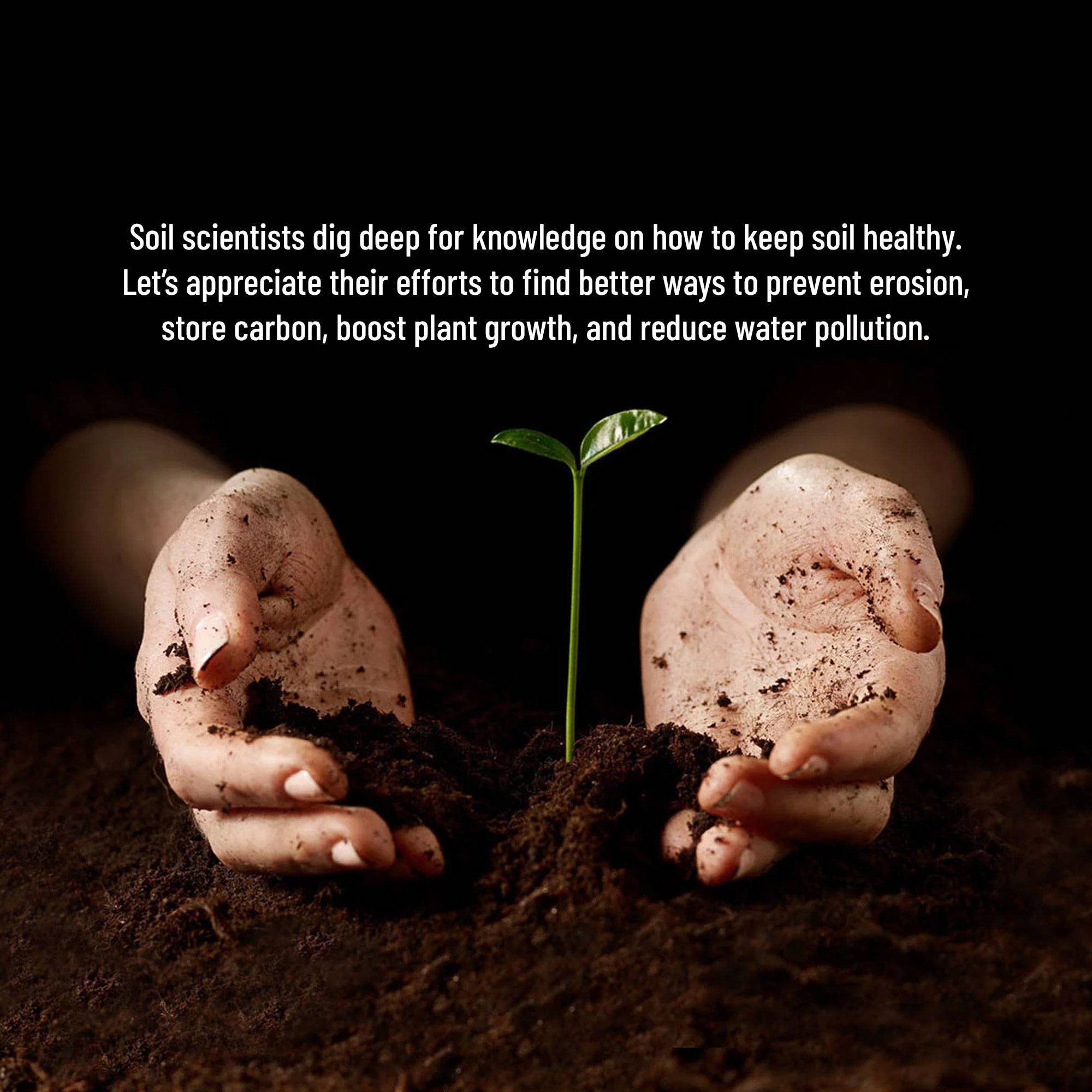 World Soil Day