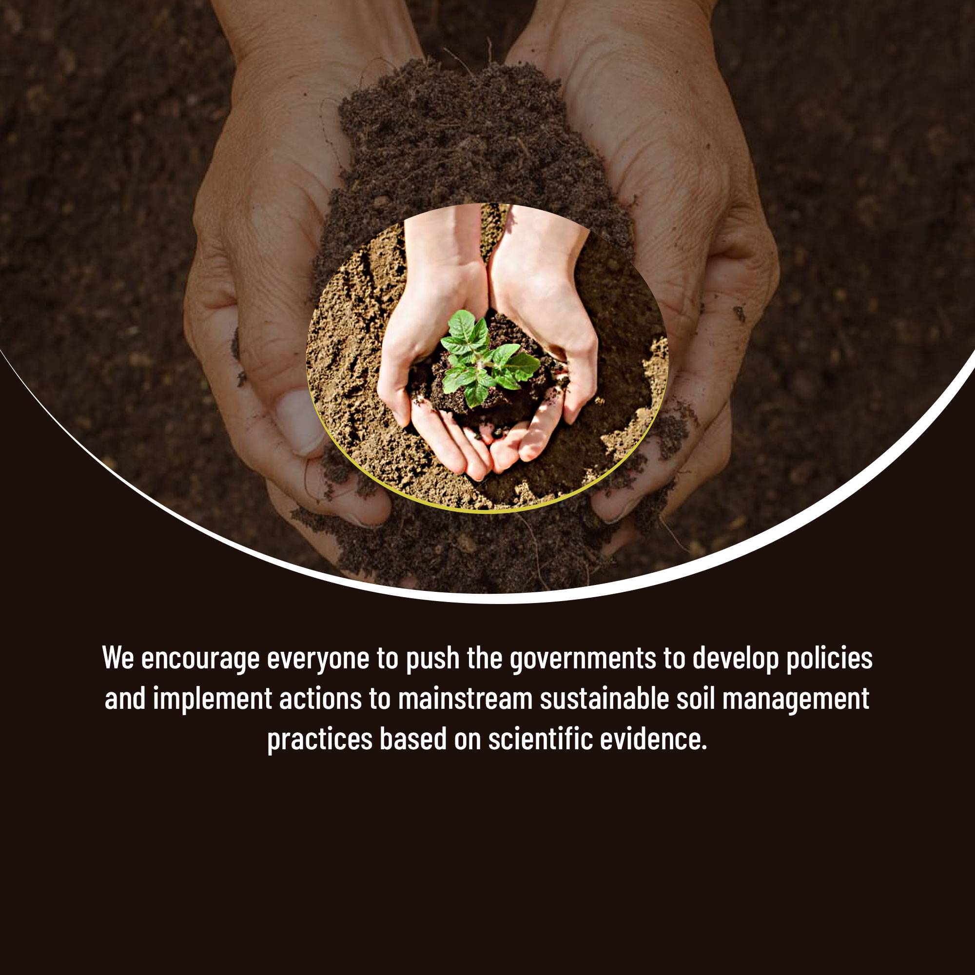 World Soil Day