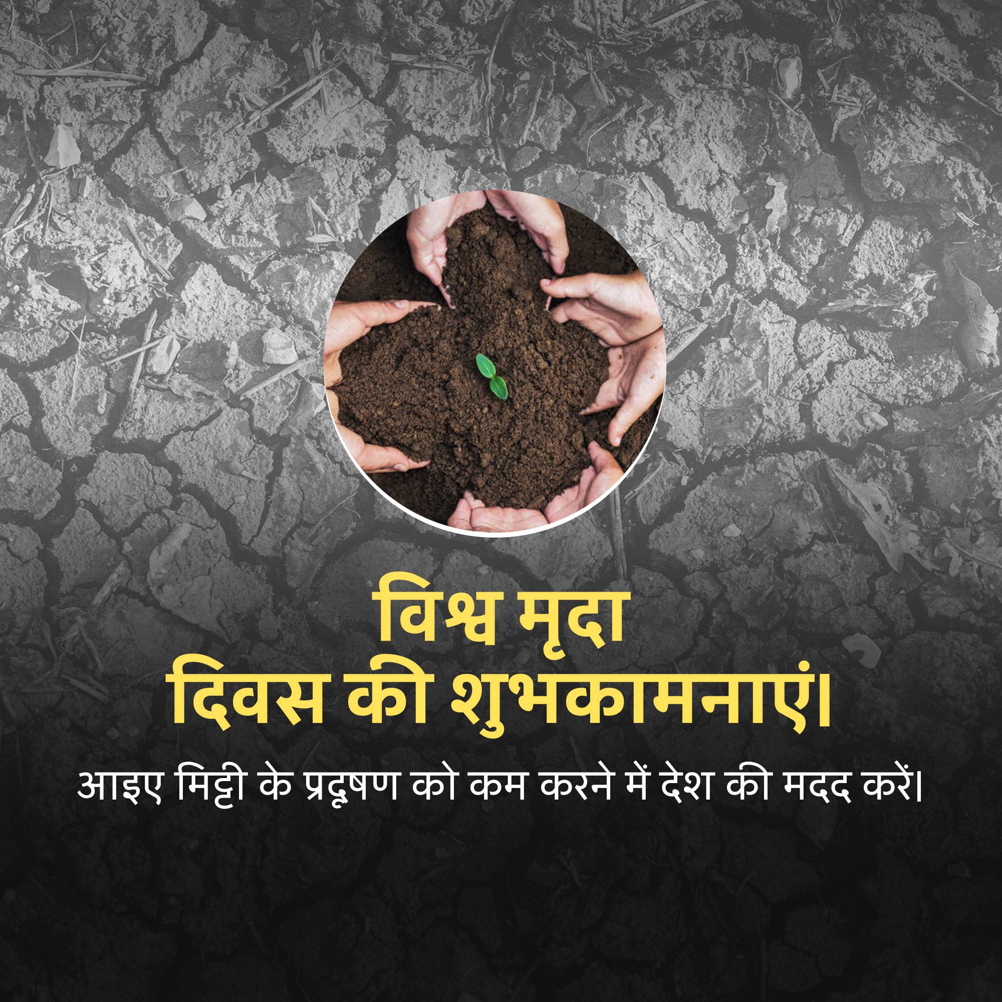 World Soil Day
