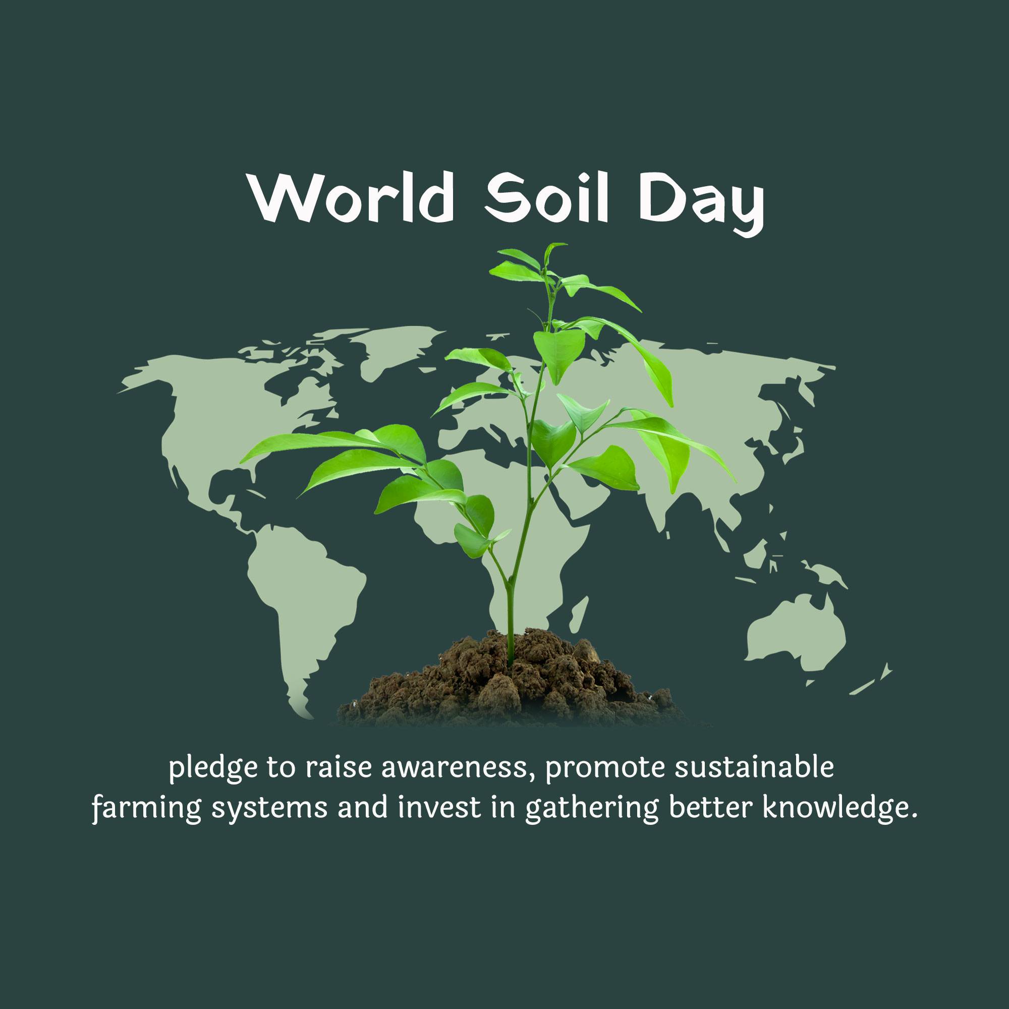 World Soil Day