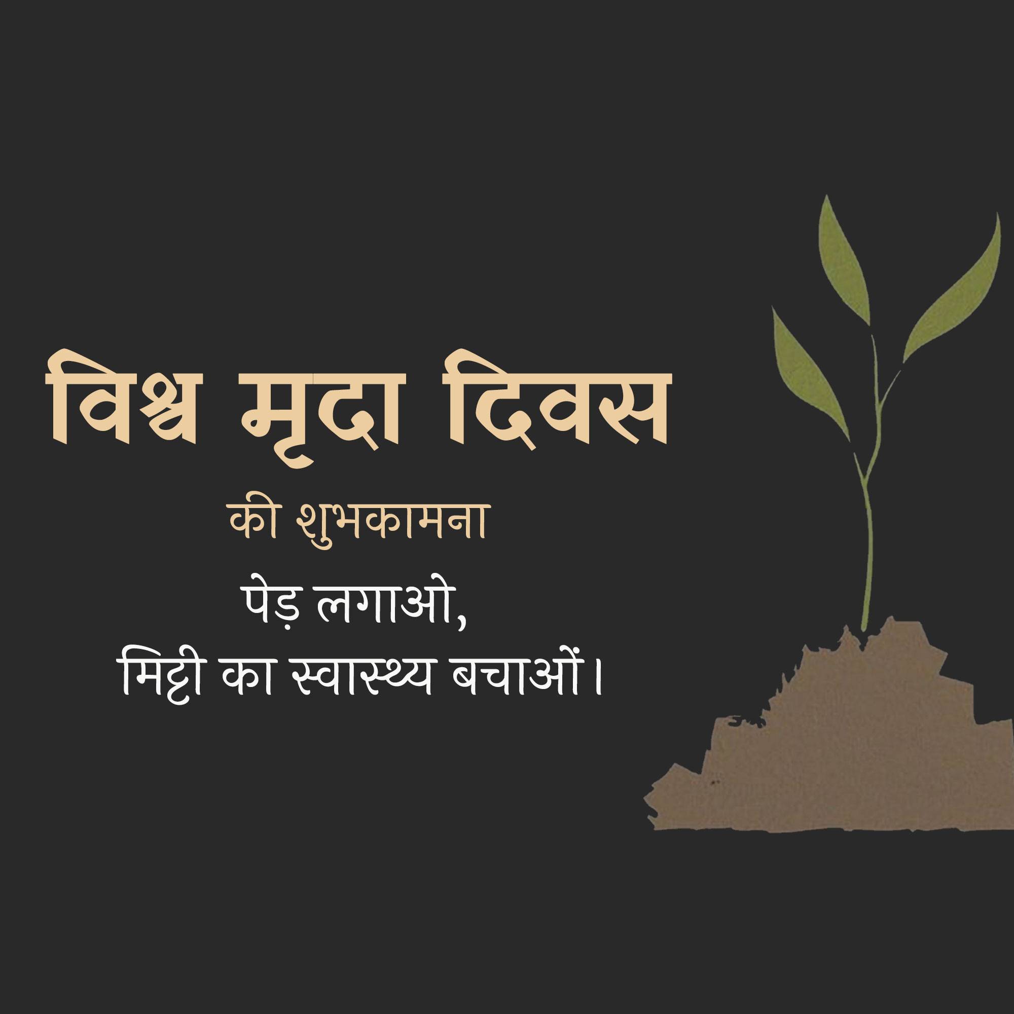 World Soil Day