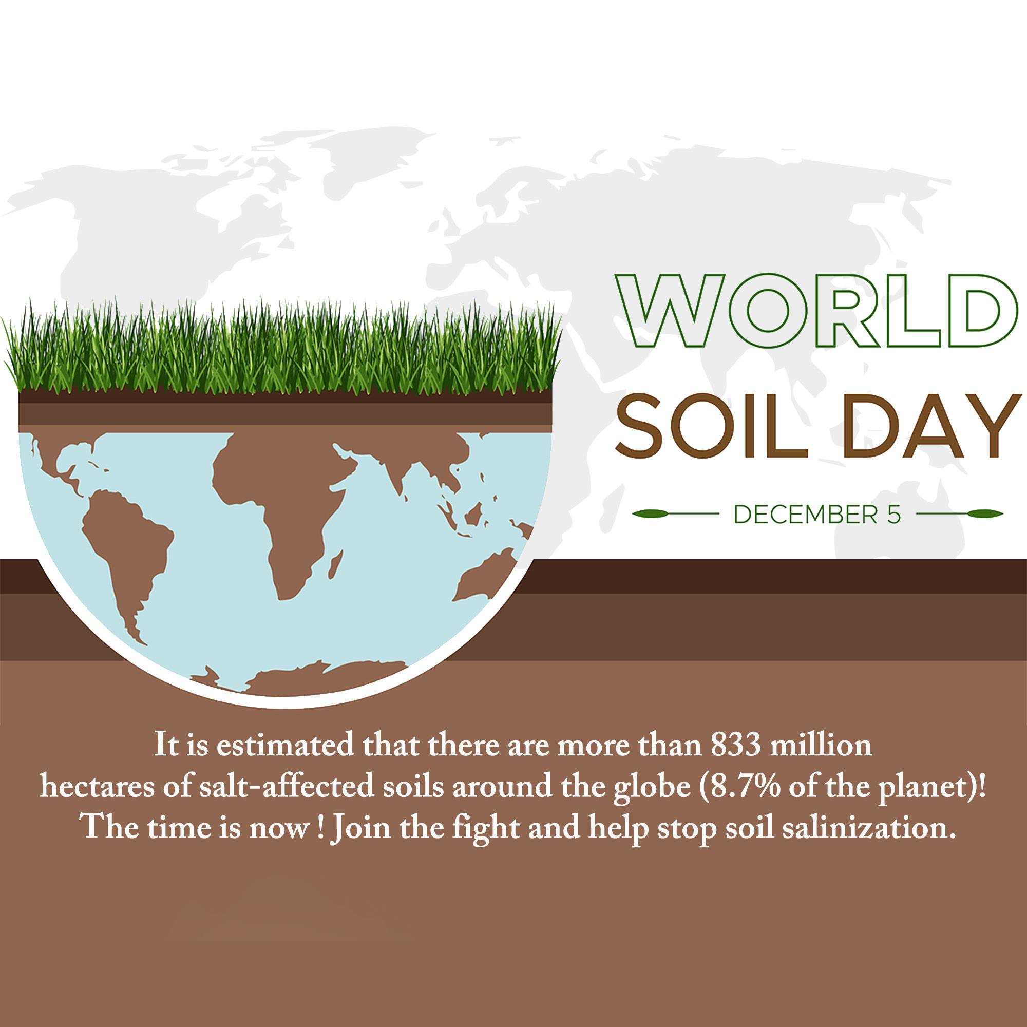 World Soil Day