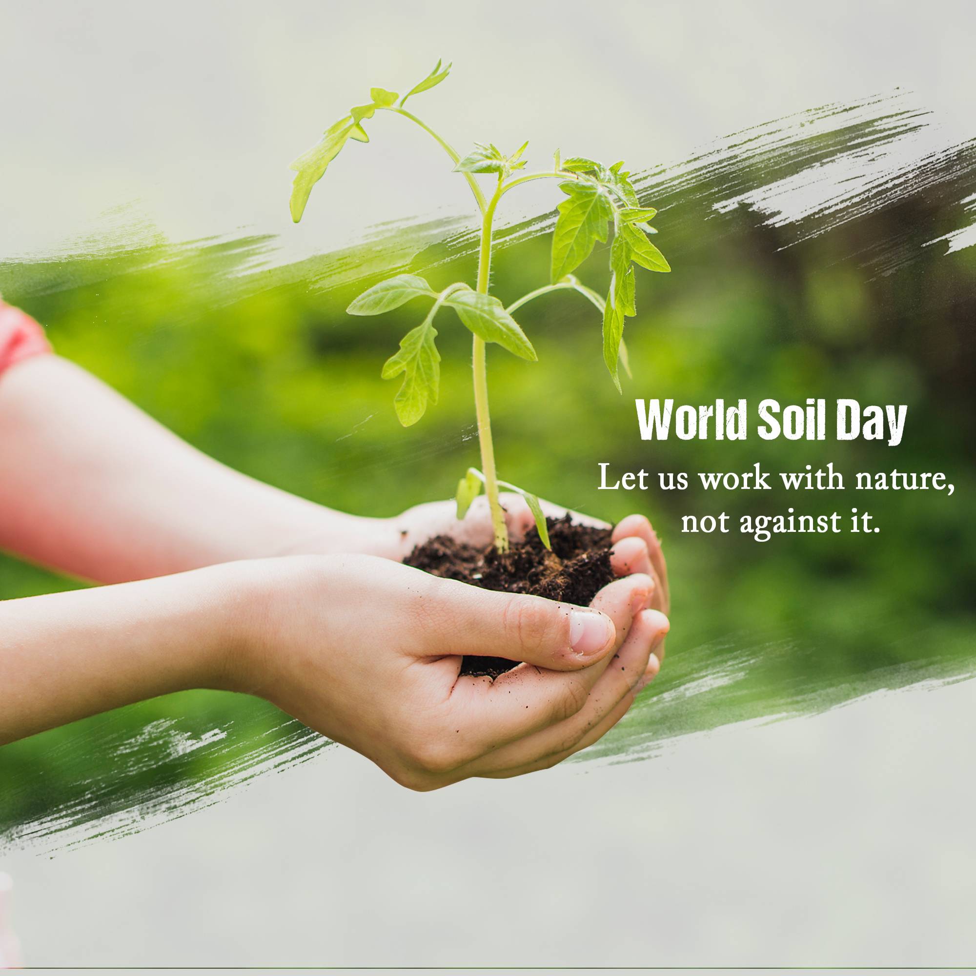 World Soil Day