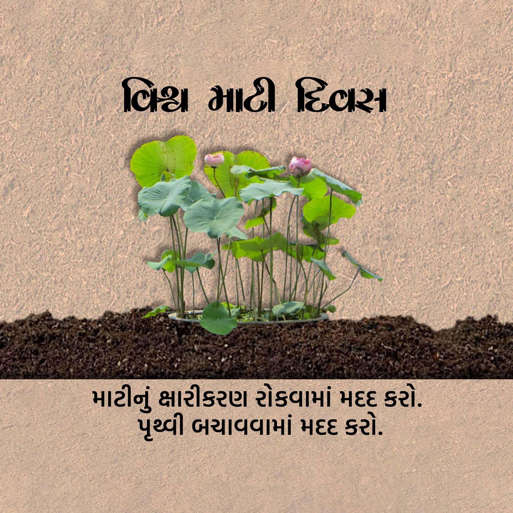 World Soil Day