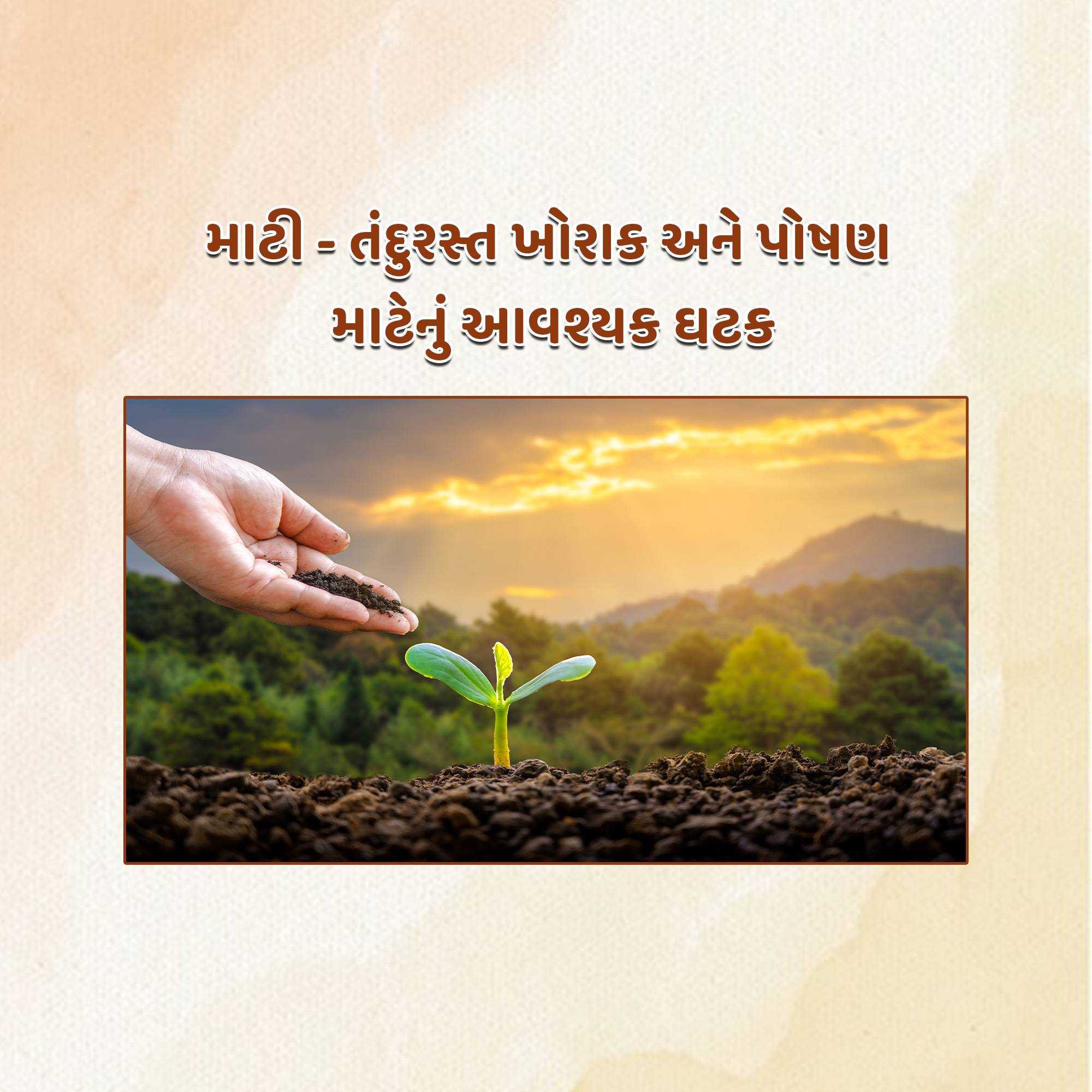 World Soil Day