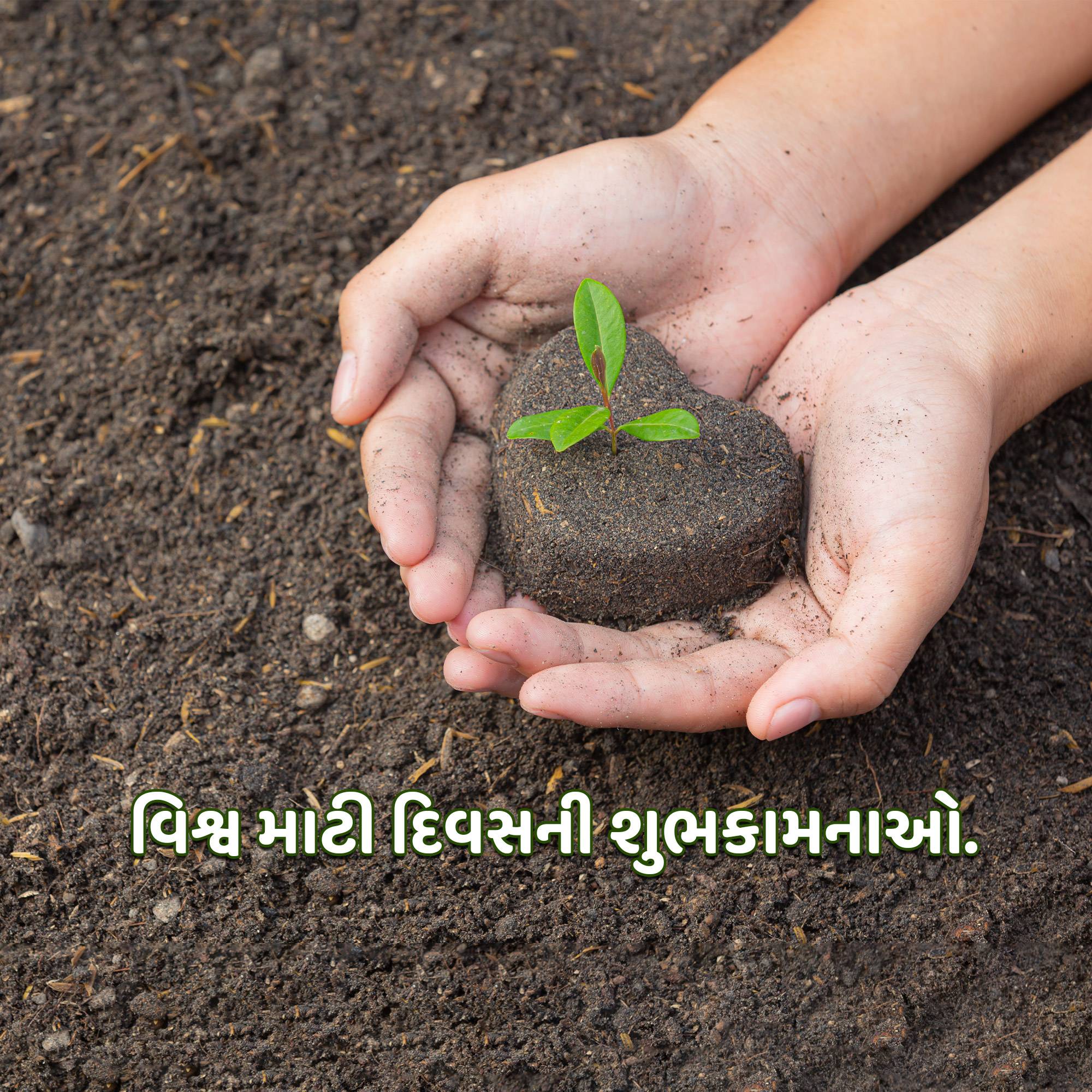 World Soil Day