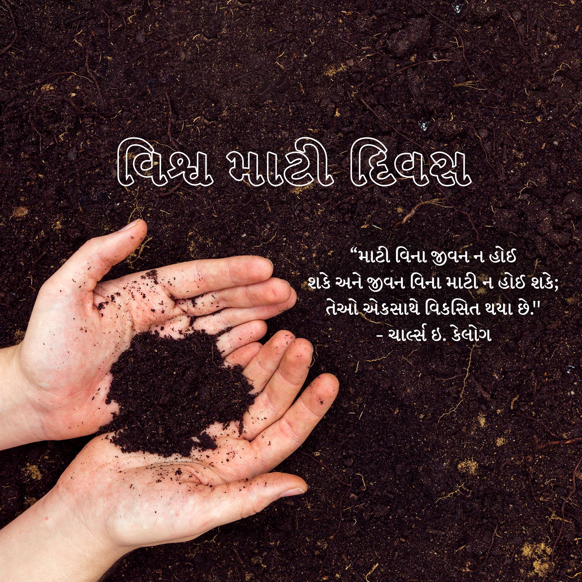 World Soil Day