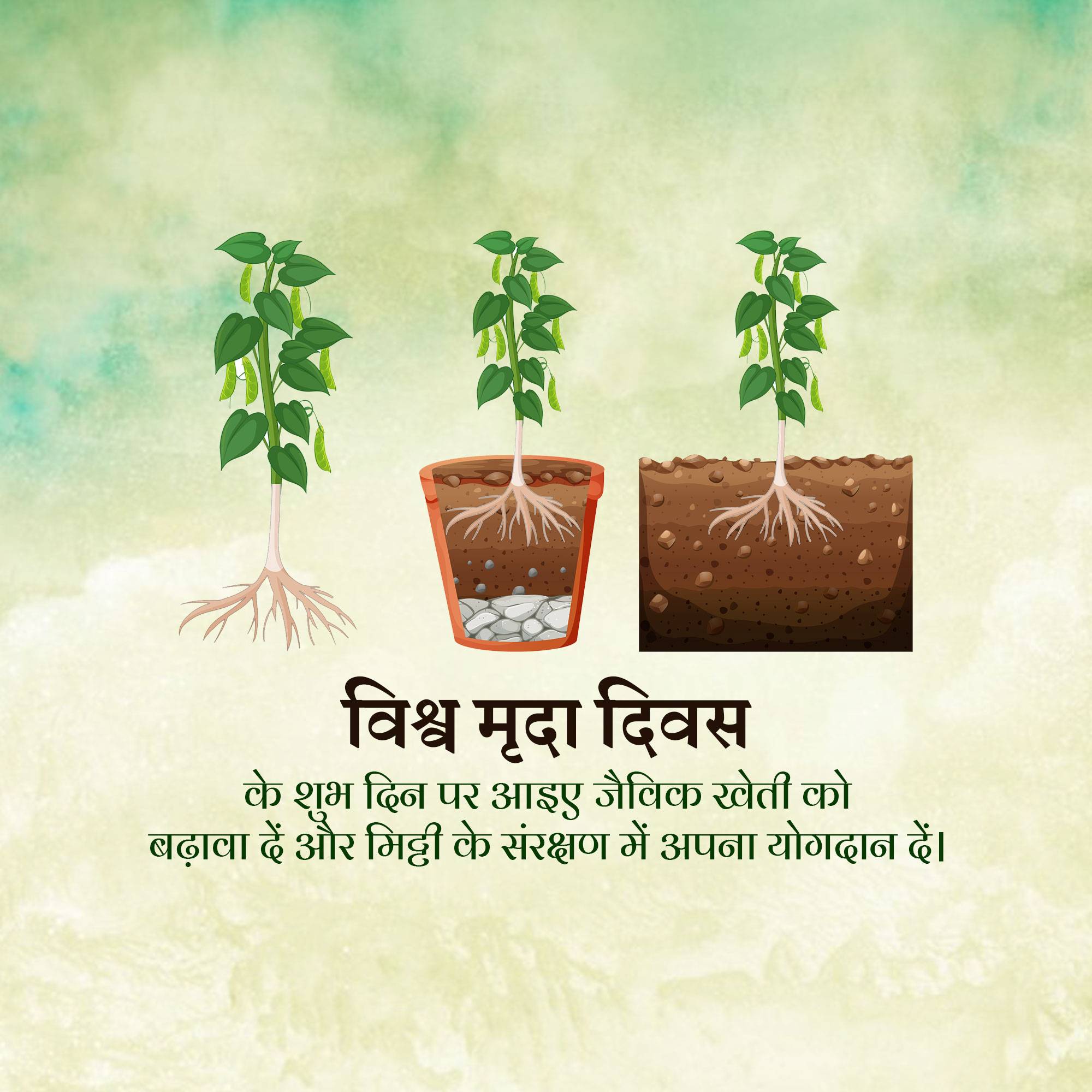 World Soil Day