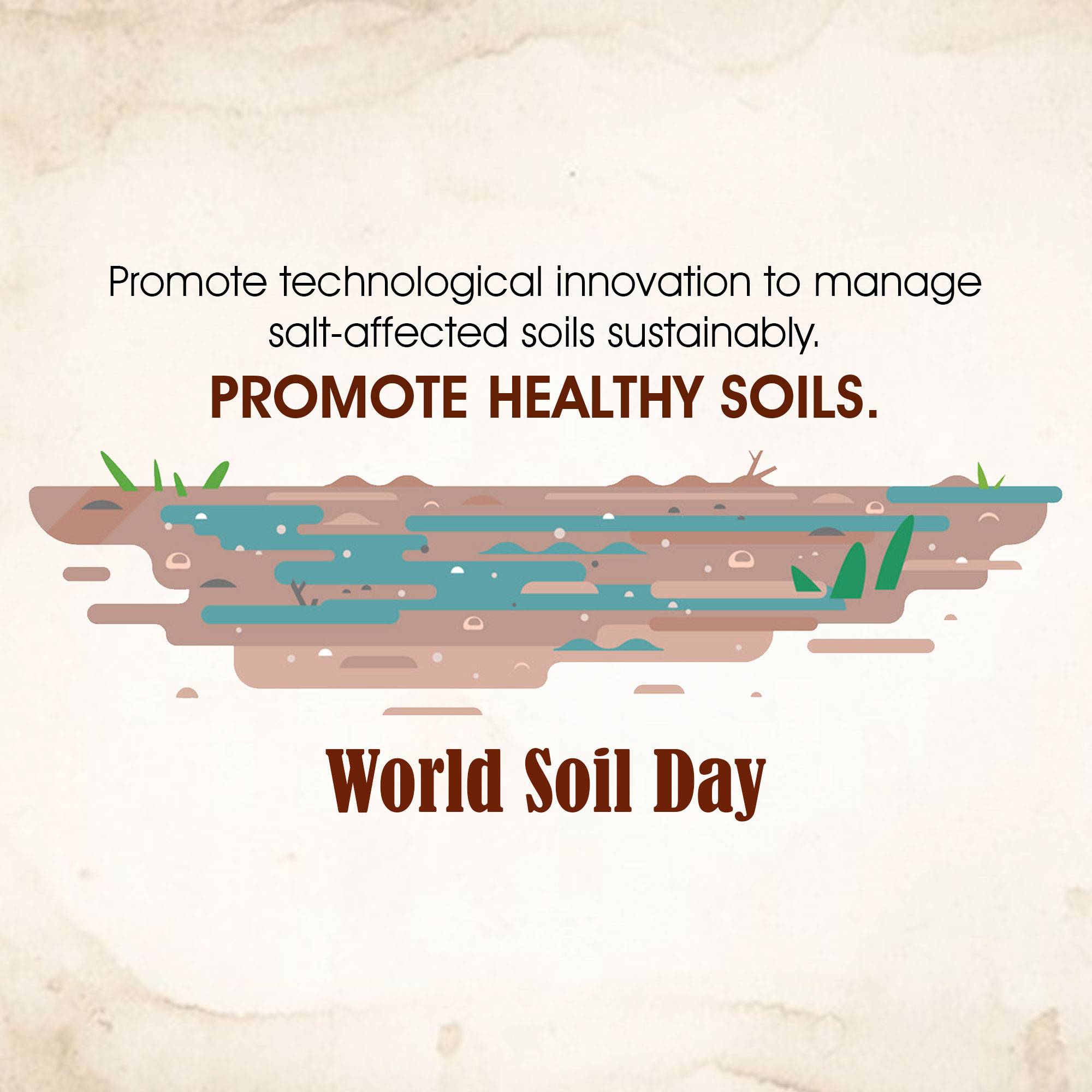 World Soil Day