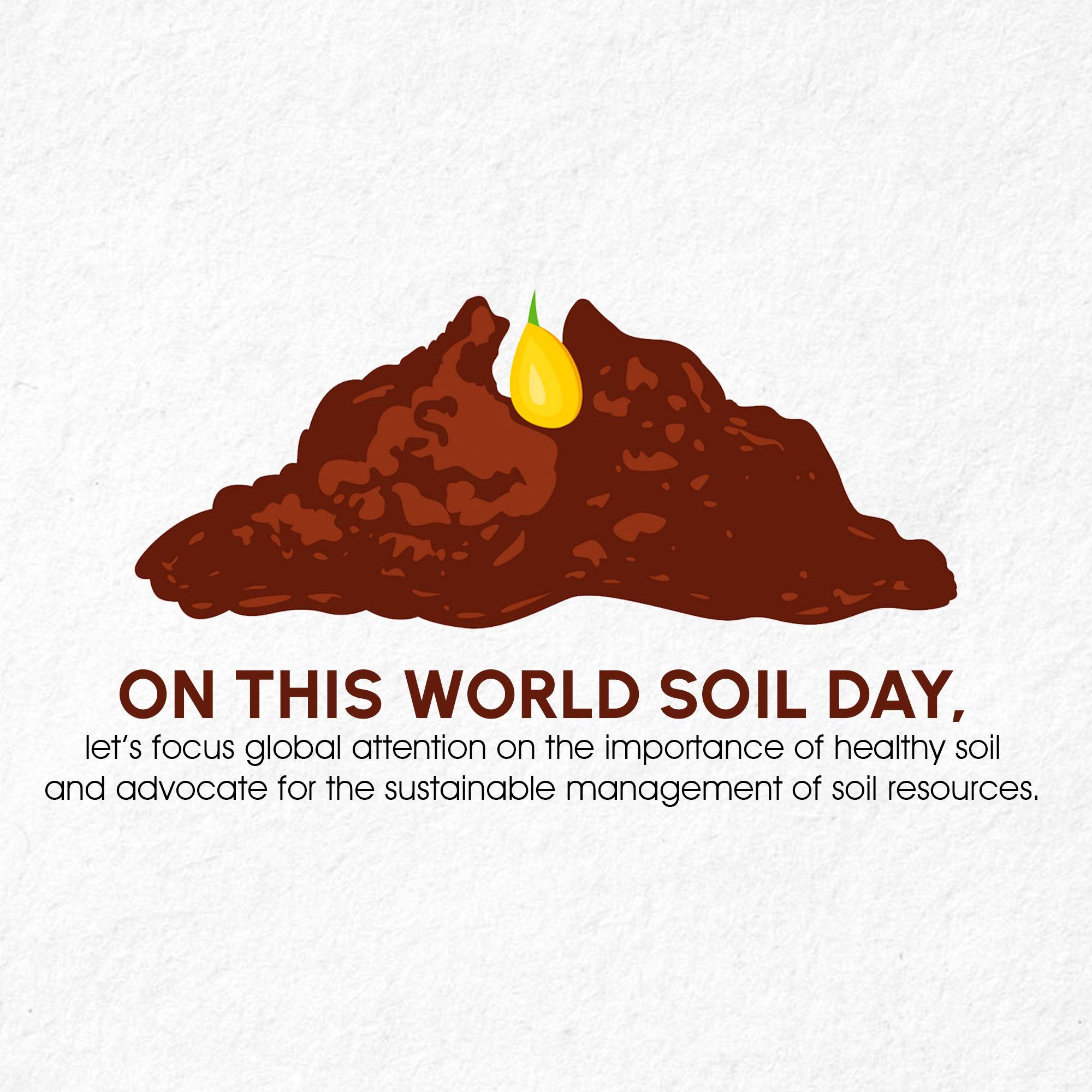 World Soil Day