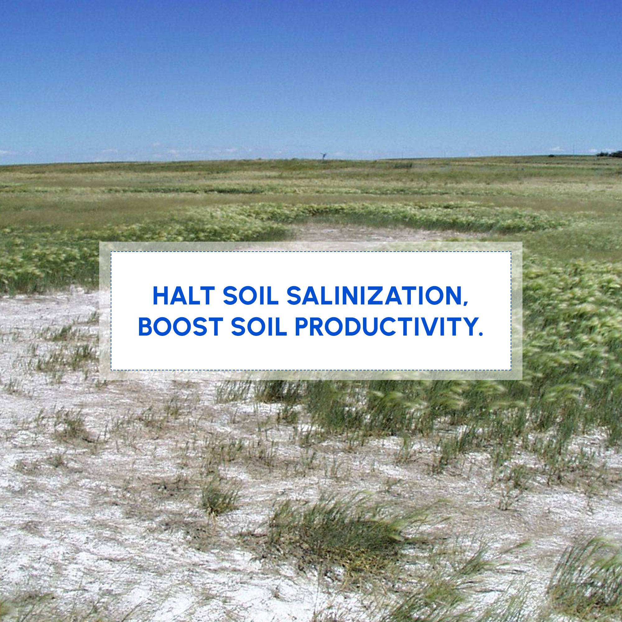 World Soil Day