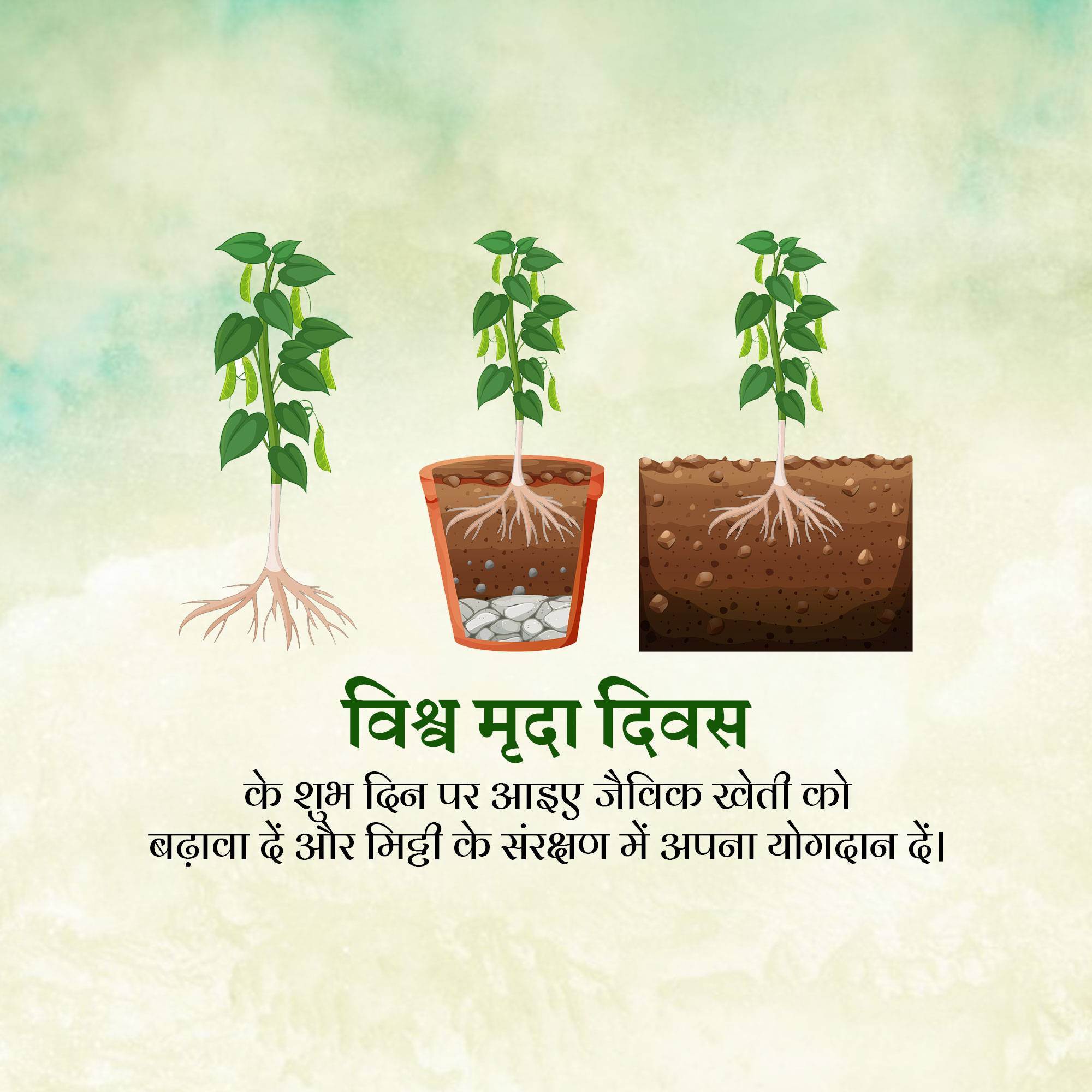 World Soil Day