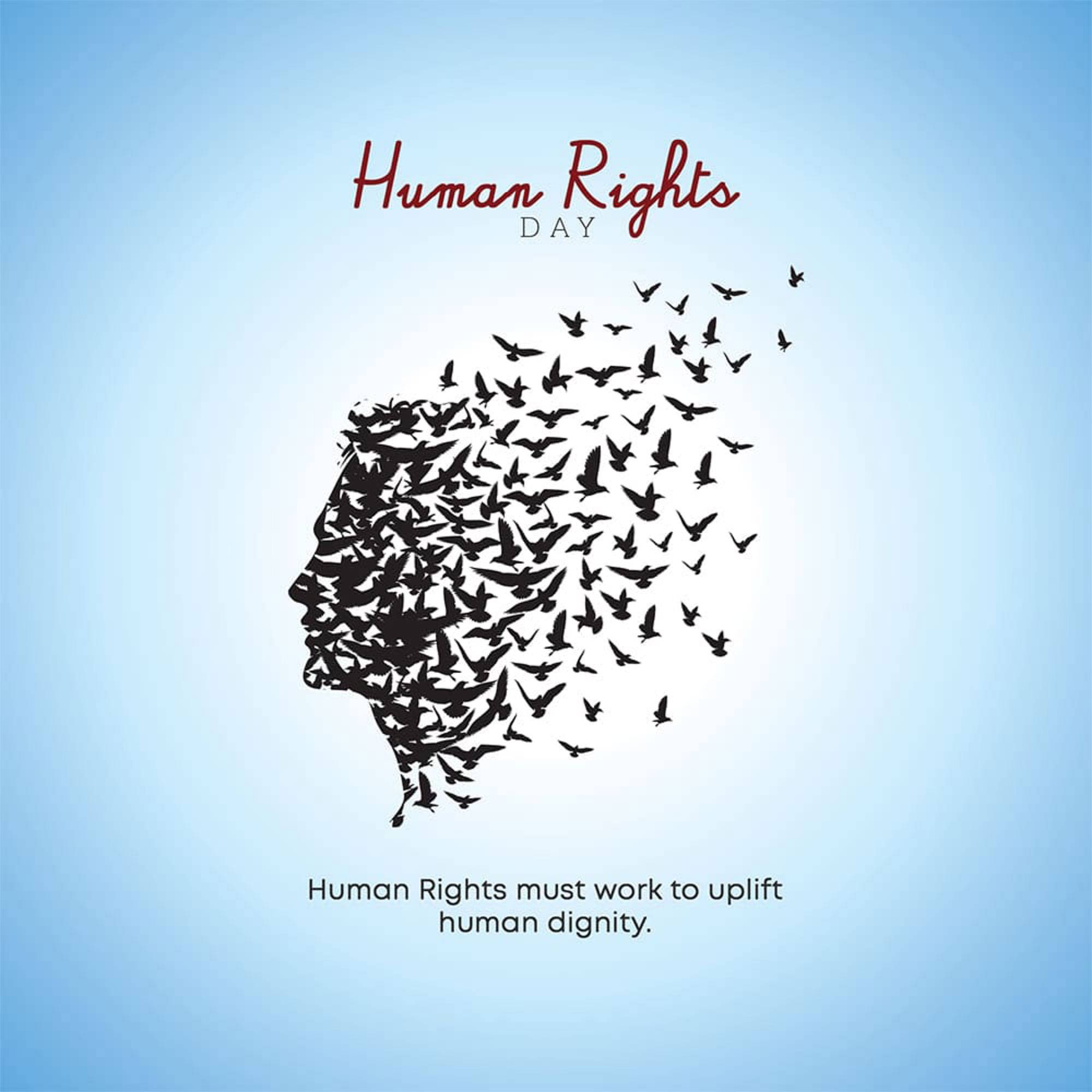 Human Rights Day