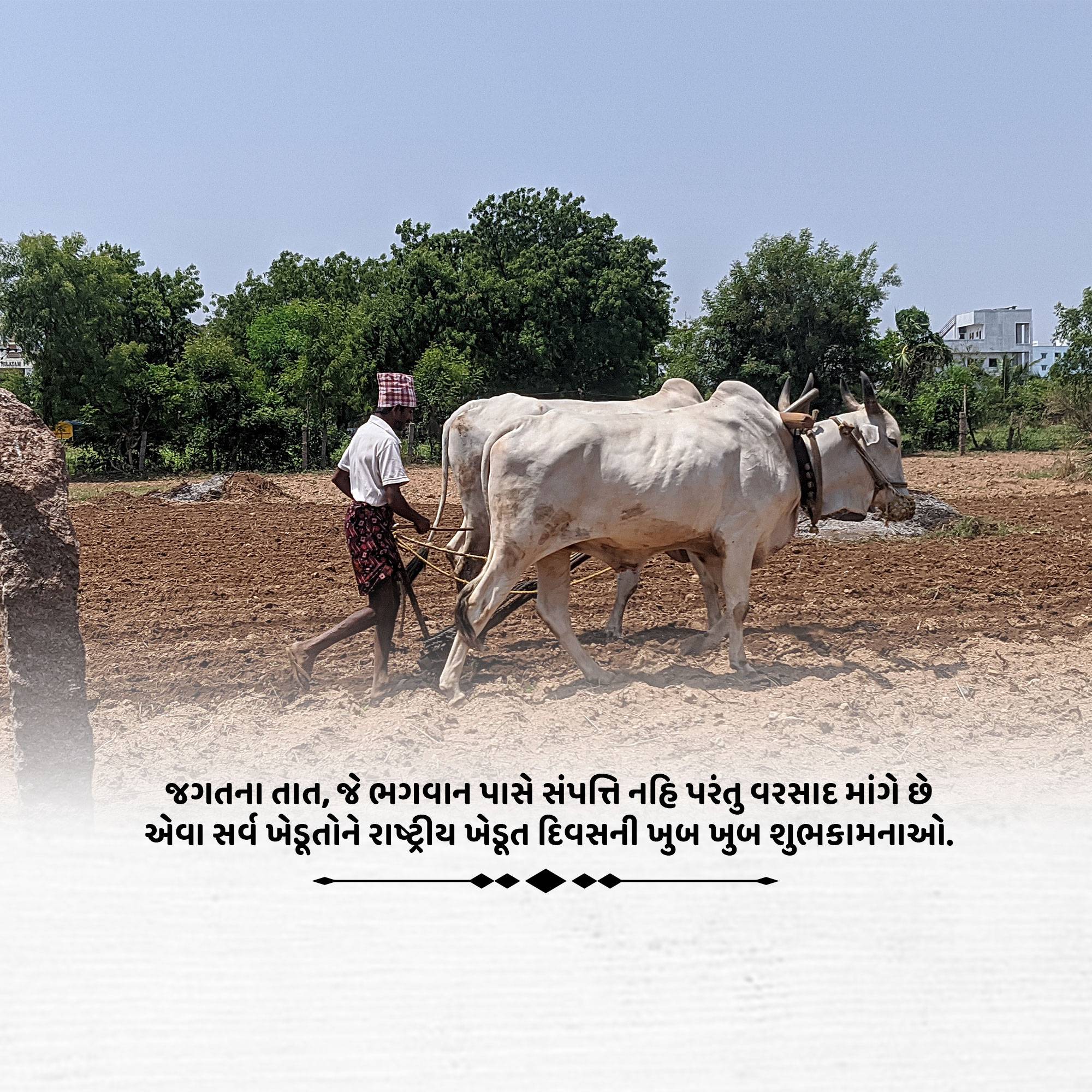 Kisan Diwas
