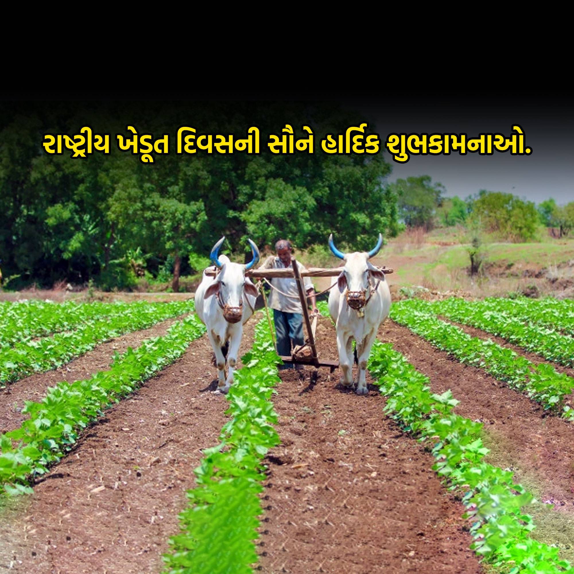 Kisan Diwas