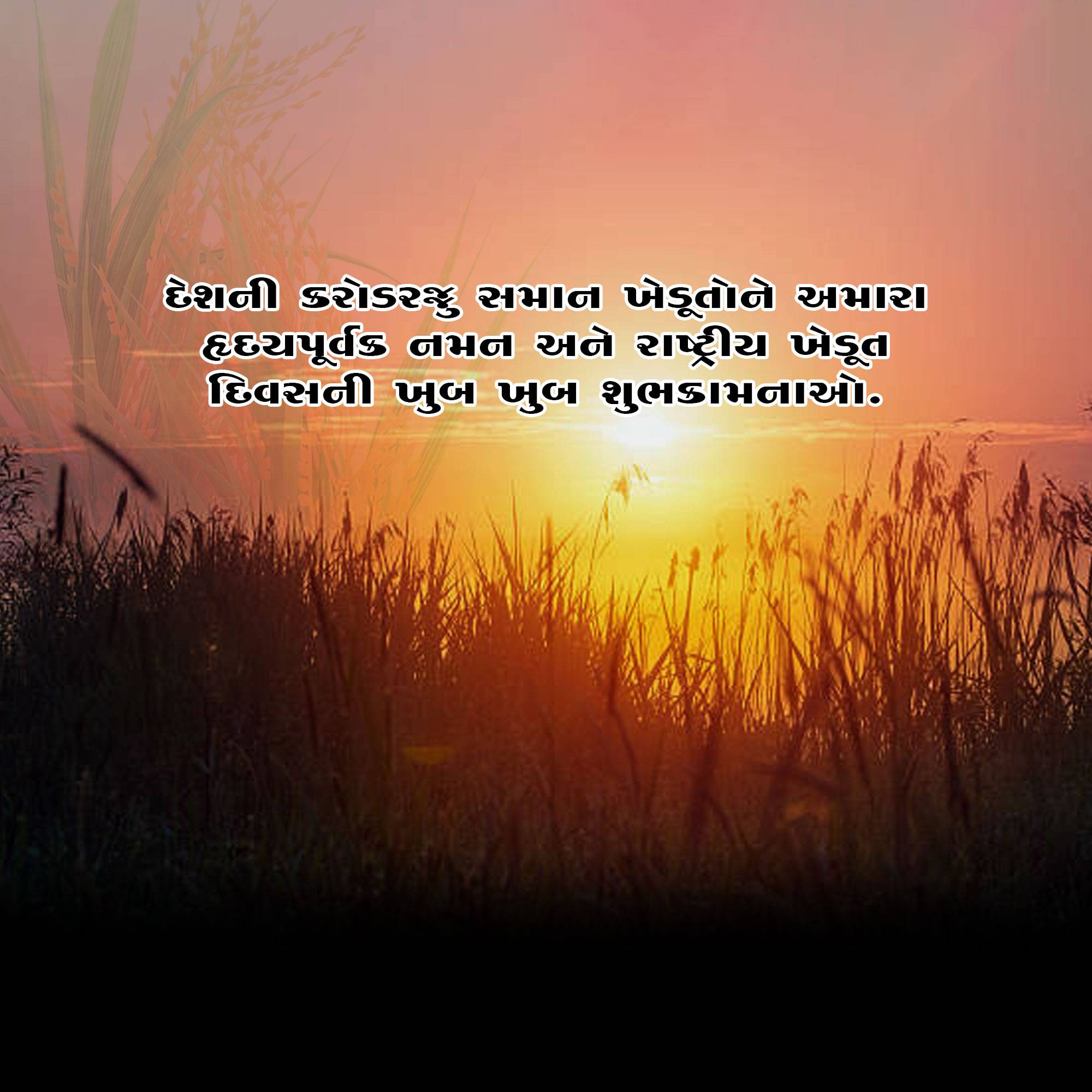 Kisan Diwas