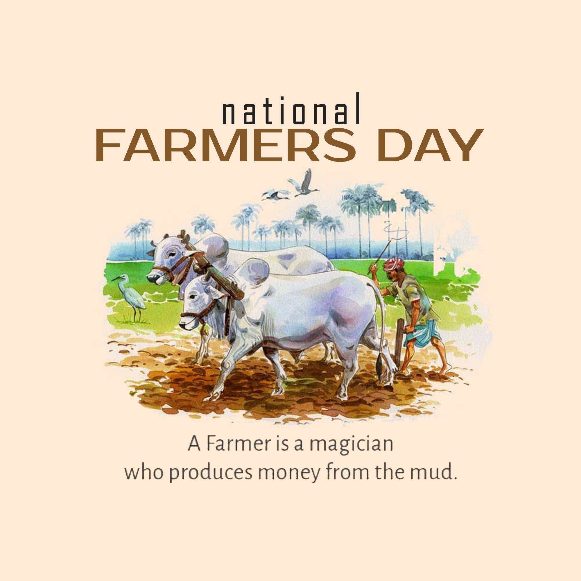Kisan Diwas