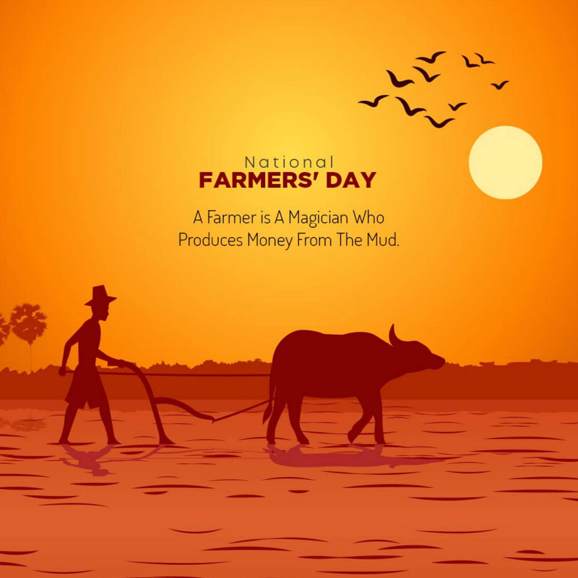 Kisan Diwas