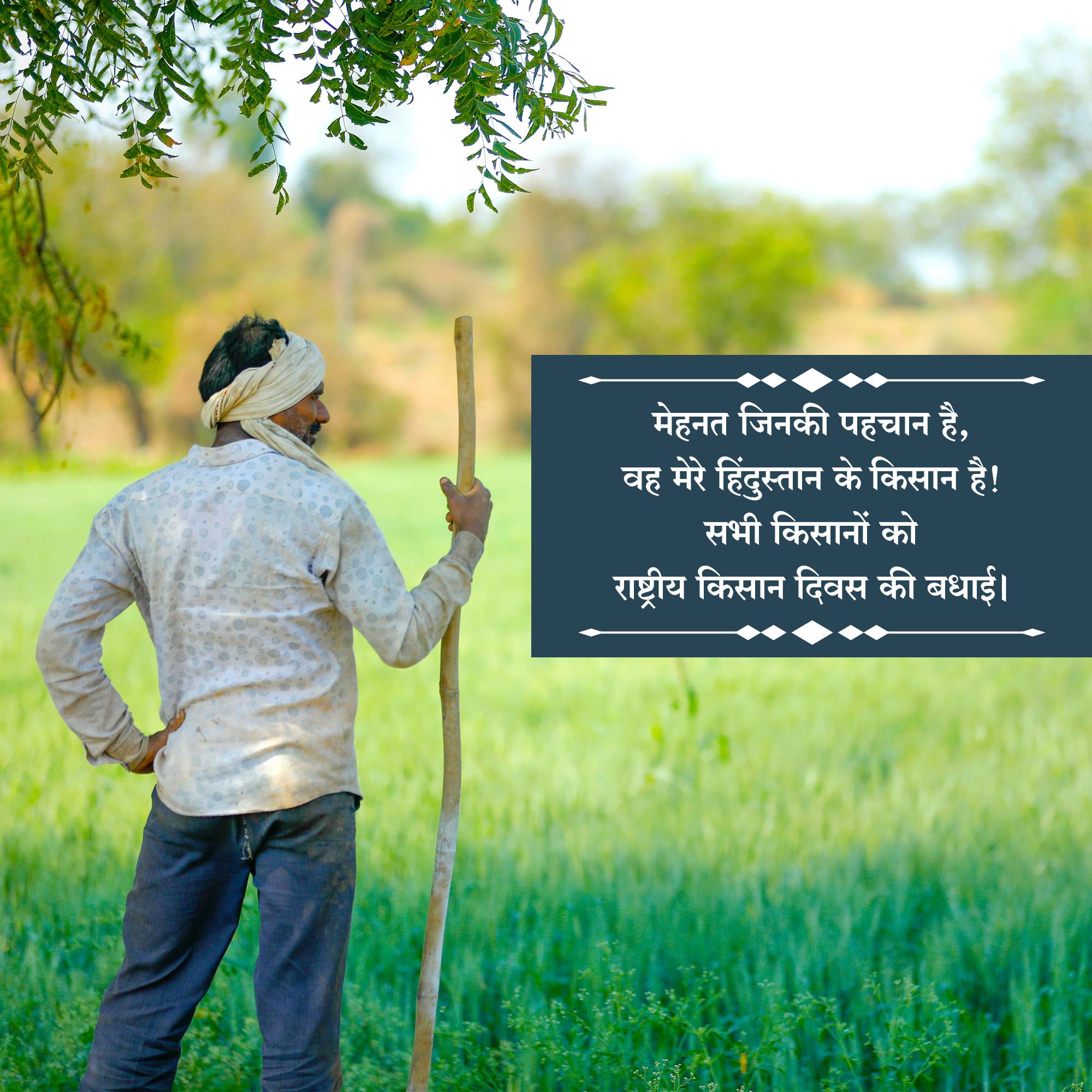 Kisan Diwas