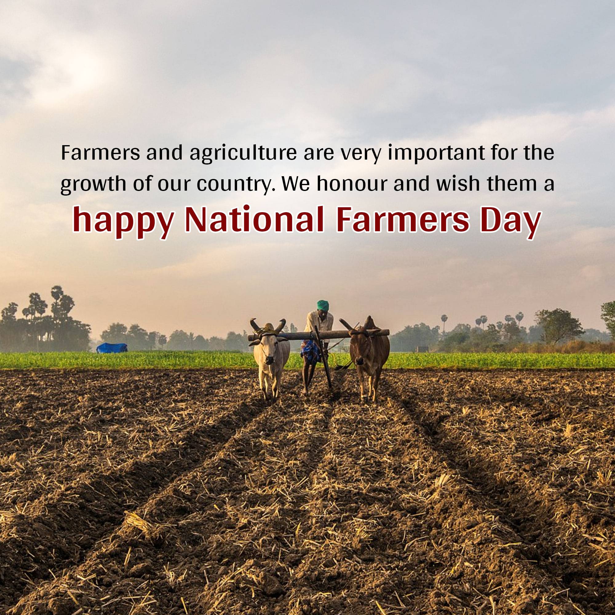 Kisan Diwas