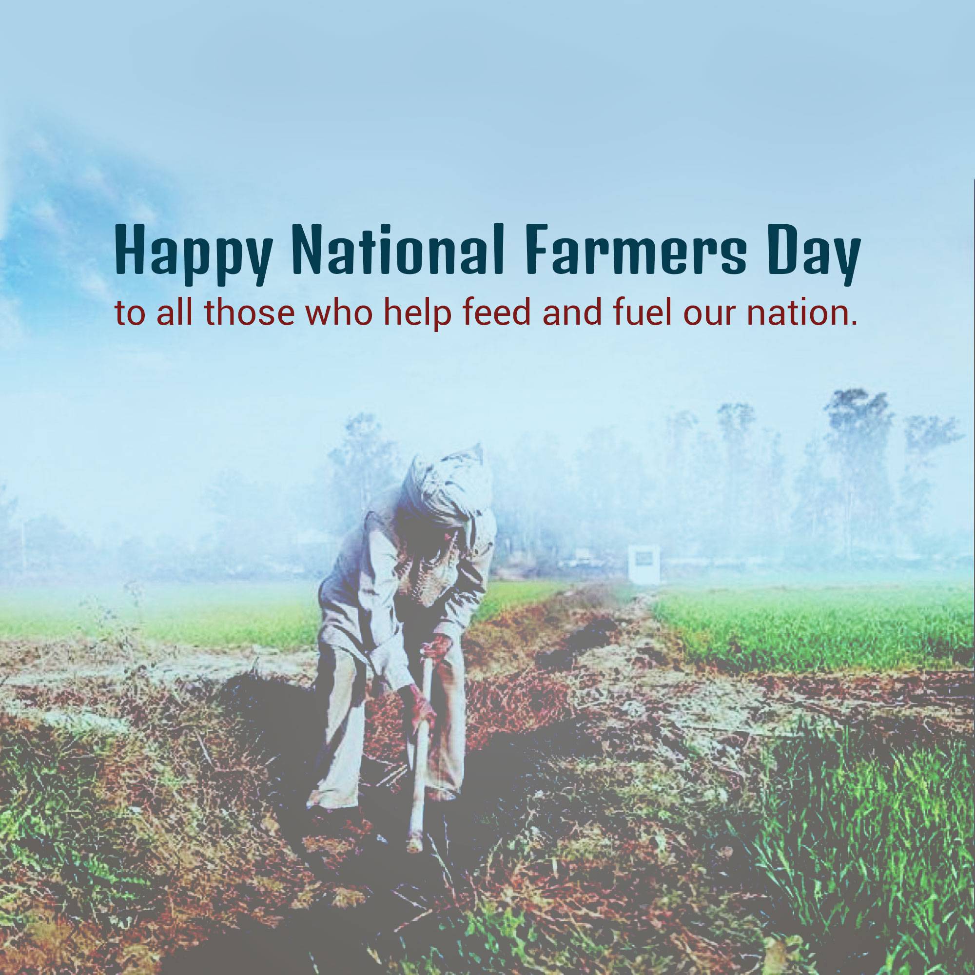 Kisan Diwas