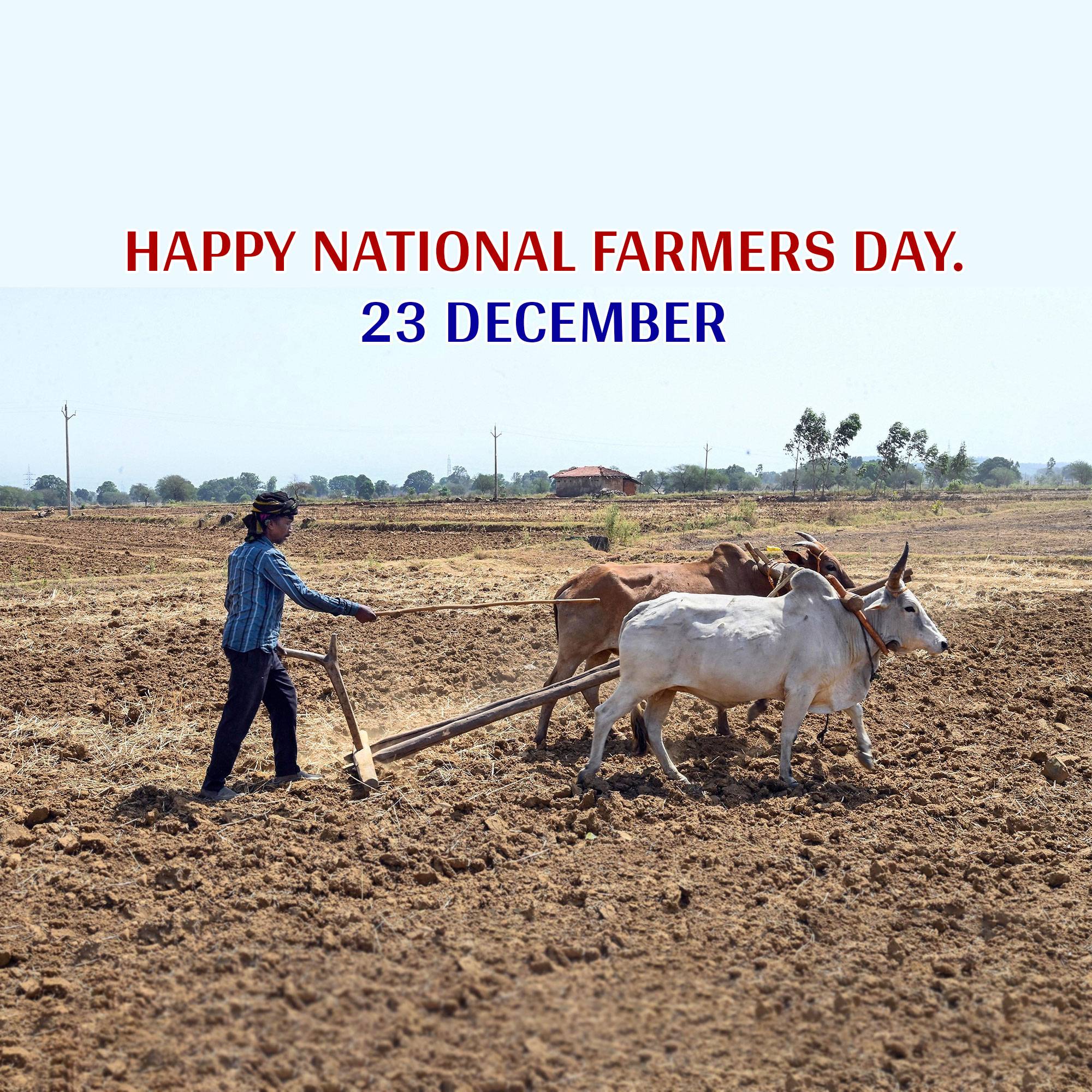 Kisan Diwas